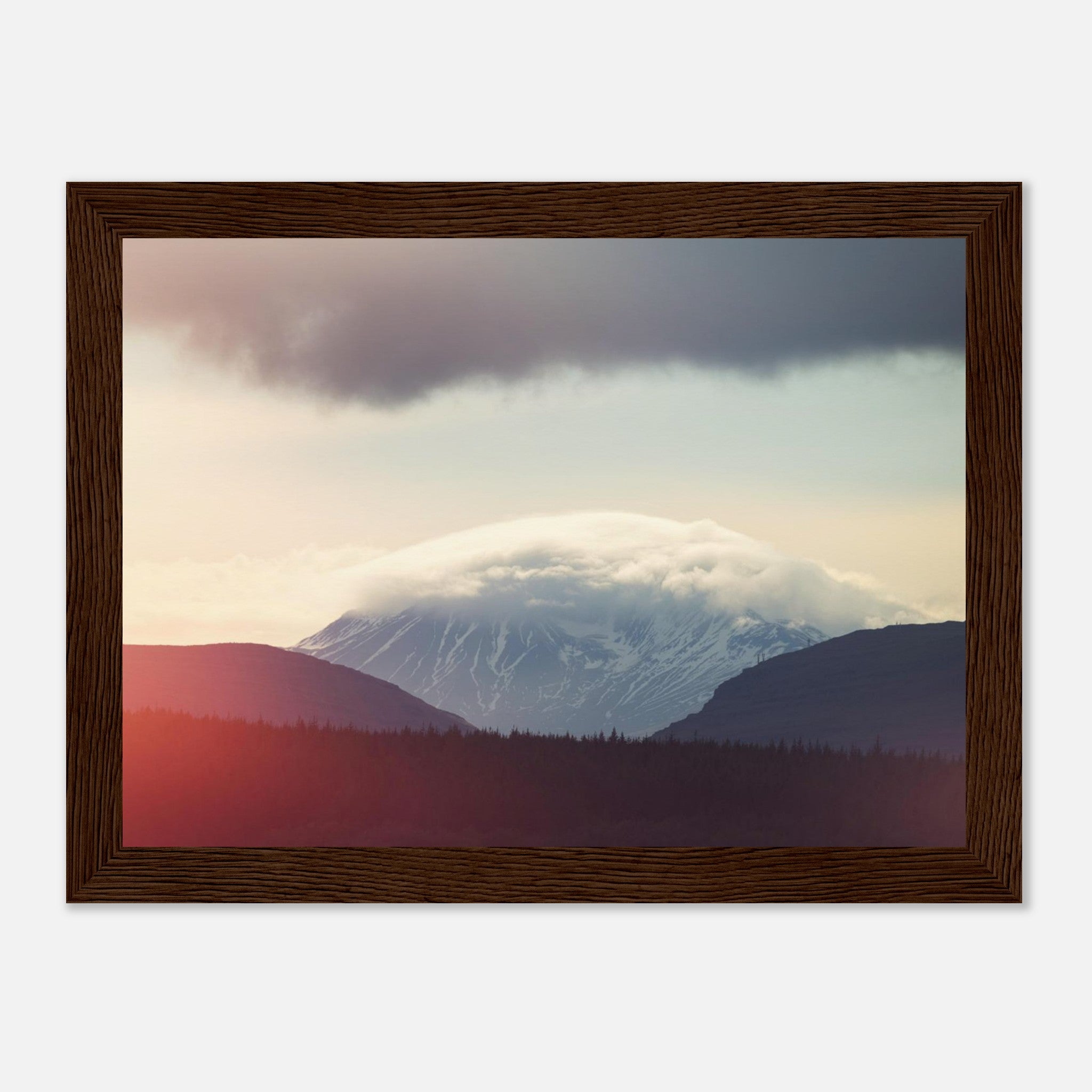 309ce53c-5047-4451-92d6-458c9702776f