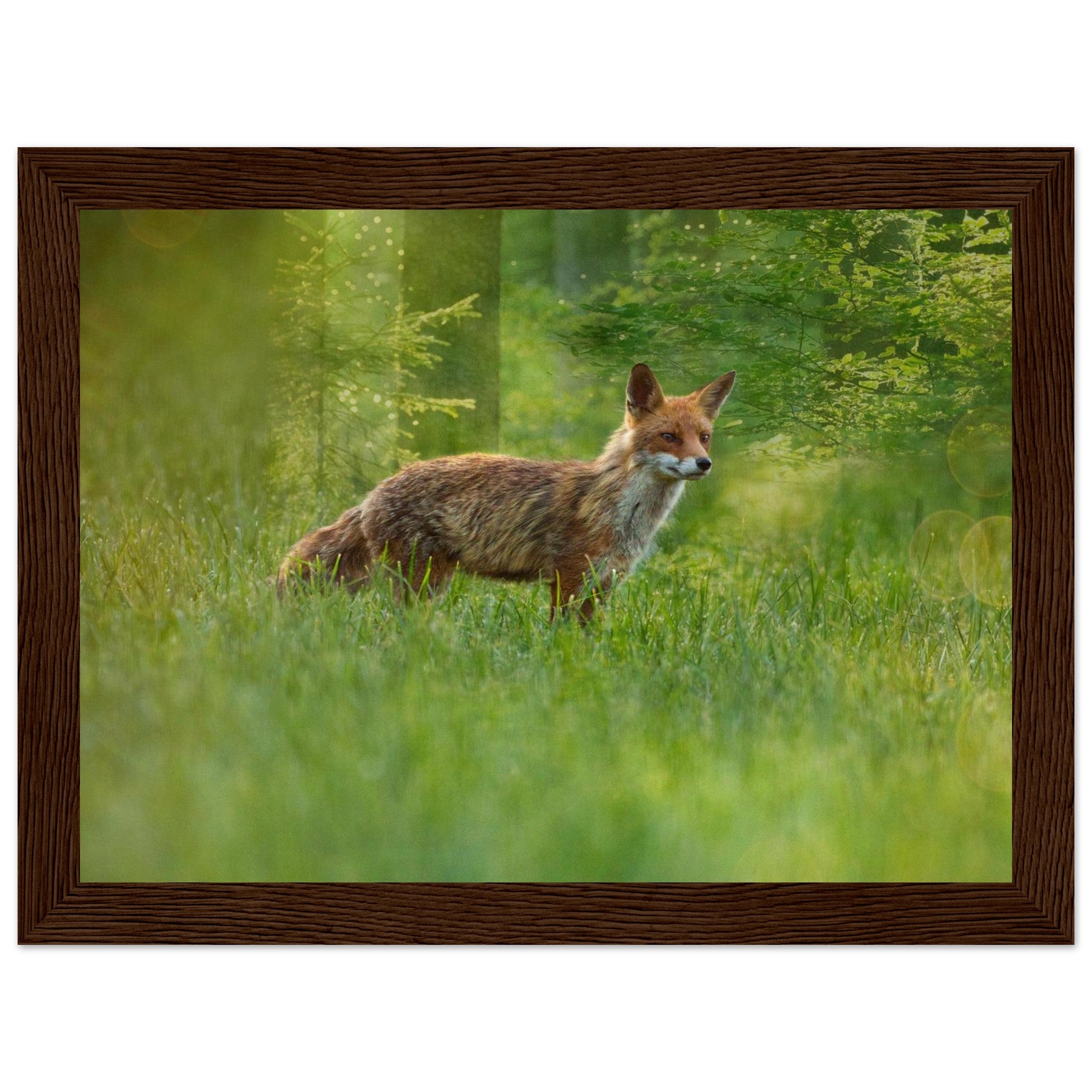 33e353a8-4129-4bc8-bd54-82614d3d4978