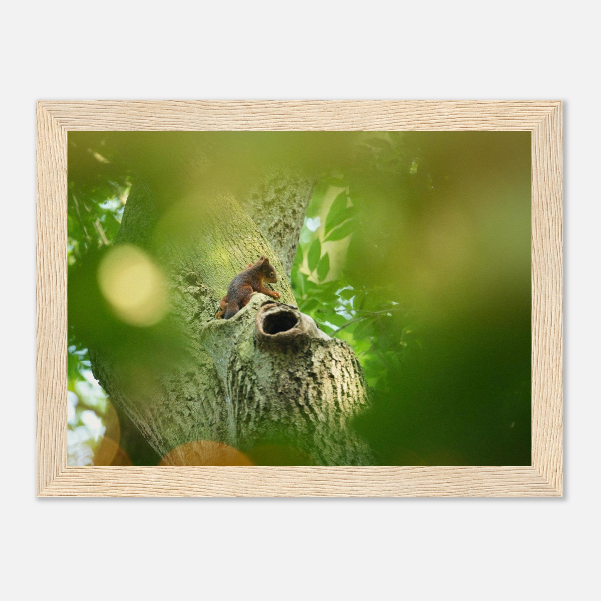 3653f33a-b0cc-4965-9f27-e098f5e47ae1