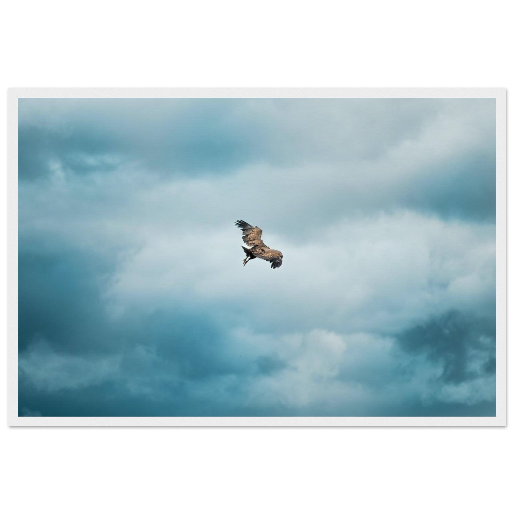 36c59452-ac09-441c-8ea1-dac1525e2d47