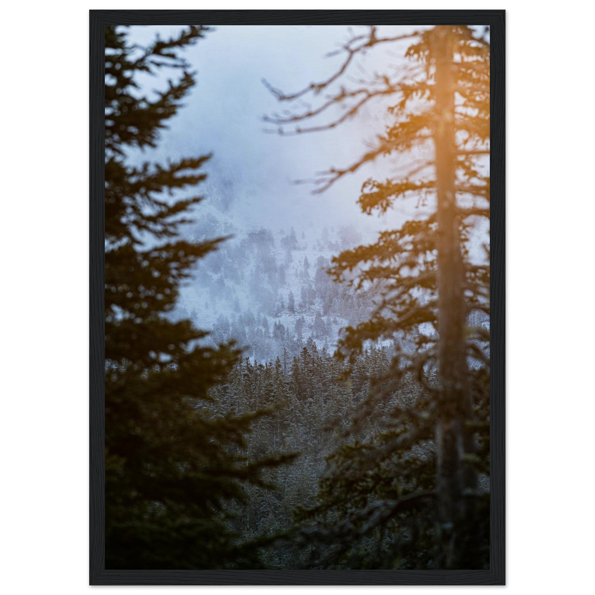 3700b08f-a301-4751-887c-00fd74c2b7e7