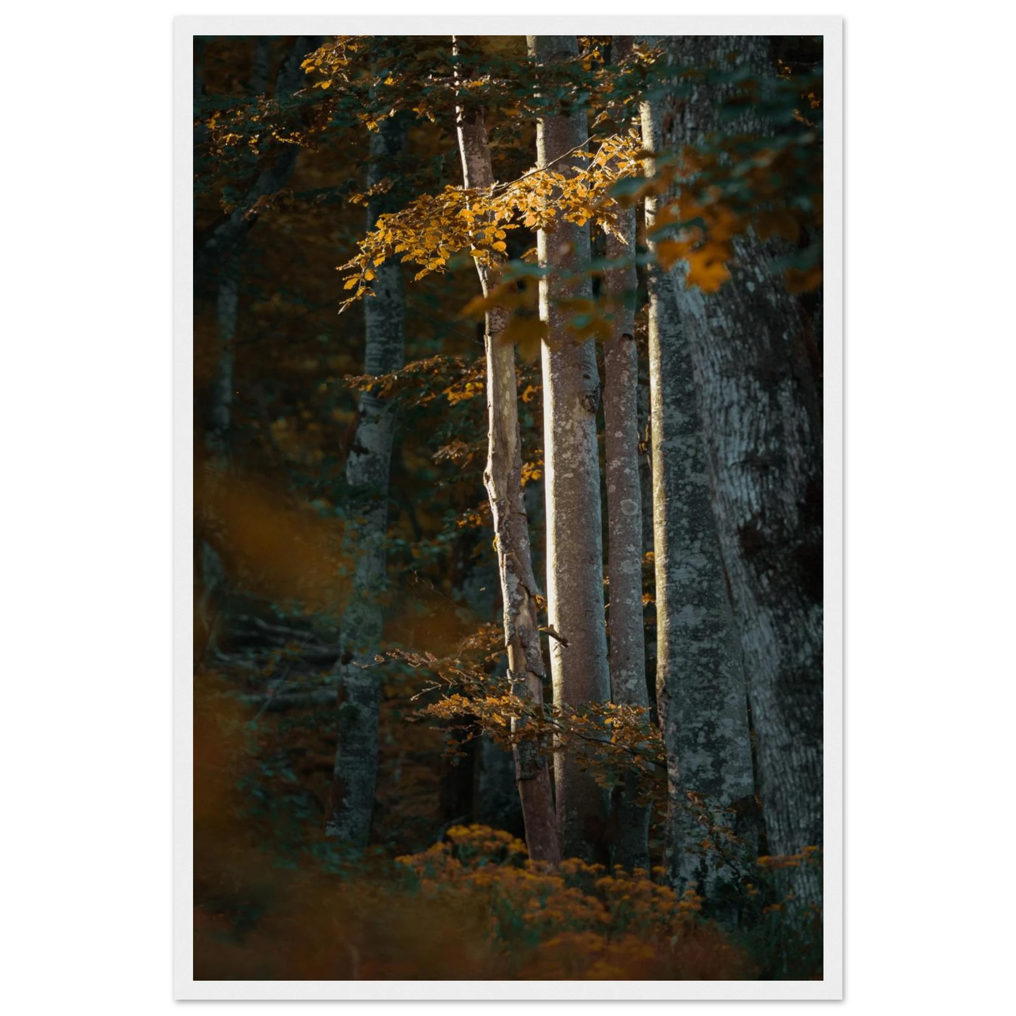 377a0e15-1a8b-419c-87b0-edf06230c4c1