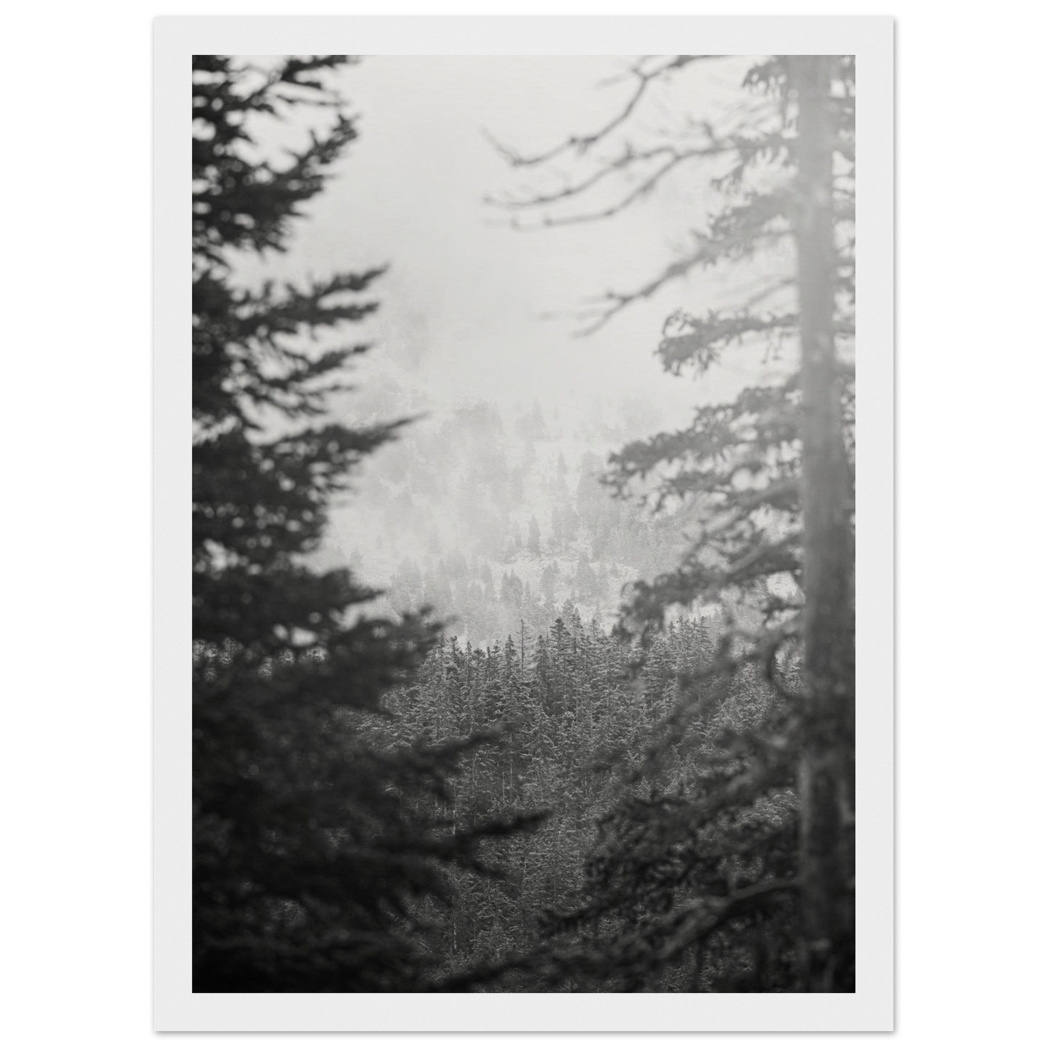 39122207-386b-450a-91f3-cb20d2cce145