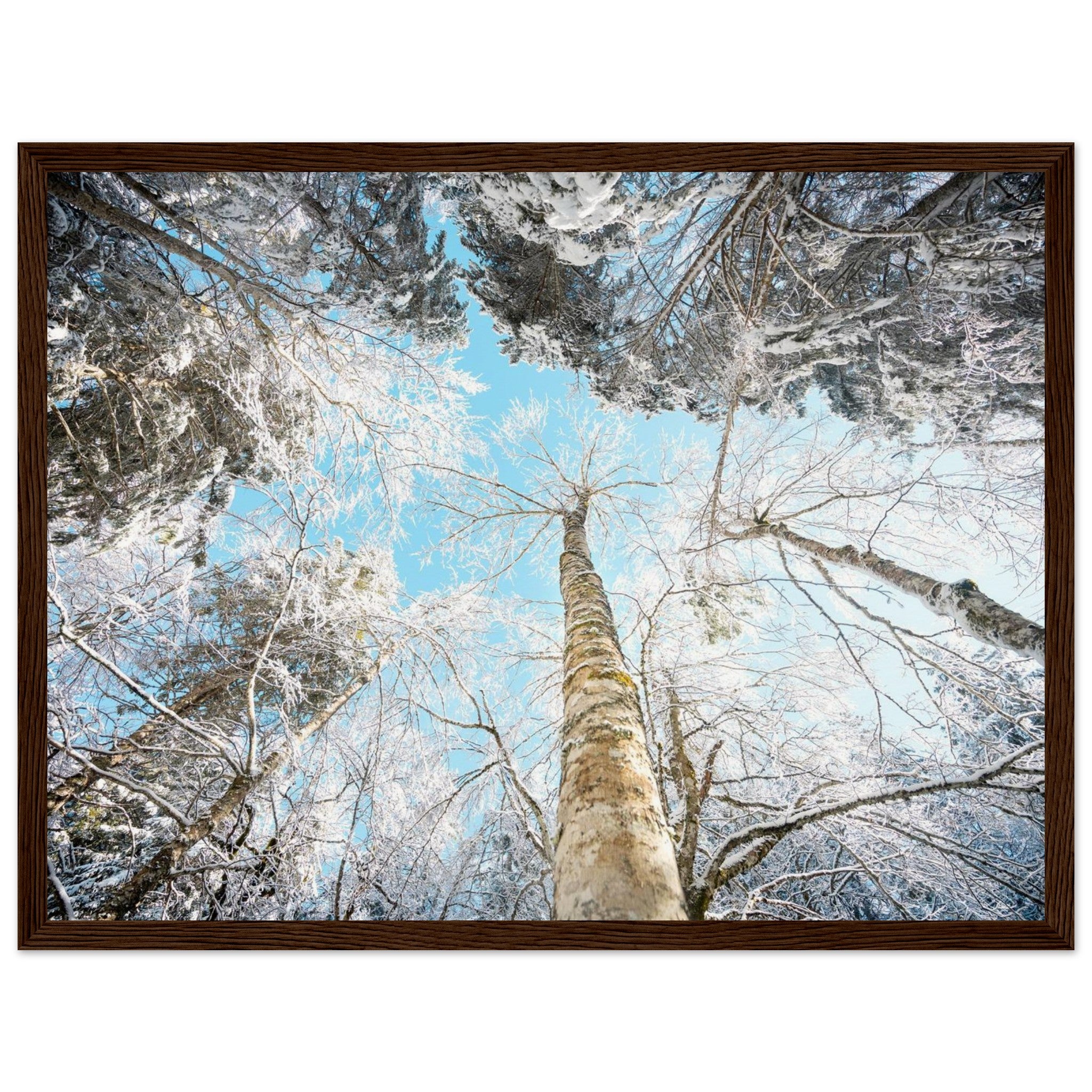 392e260d-b98b-4f33-9551-39c7a48b74a8