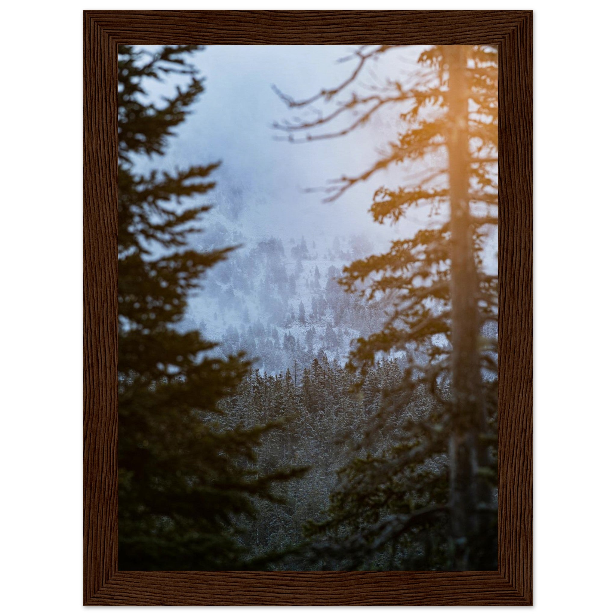 3a497c9e-f880-44a6-a971-ff381c7cb88d