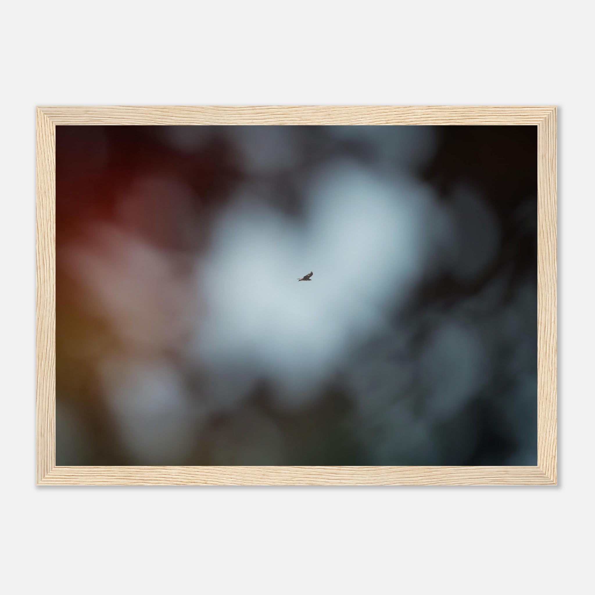 3a532ef3-0fe6-4f3b-beb5-fb0fbe4bb0d3