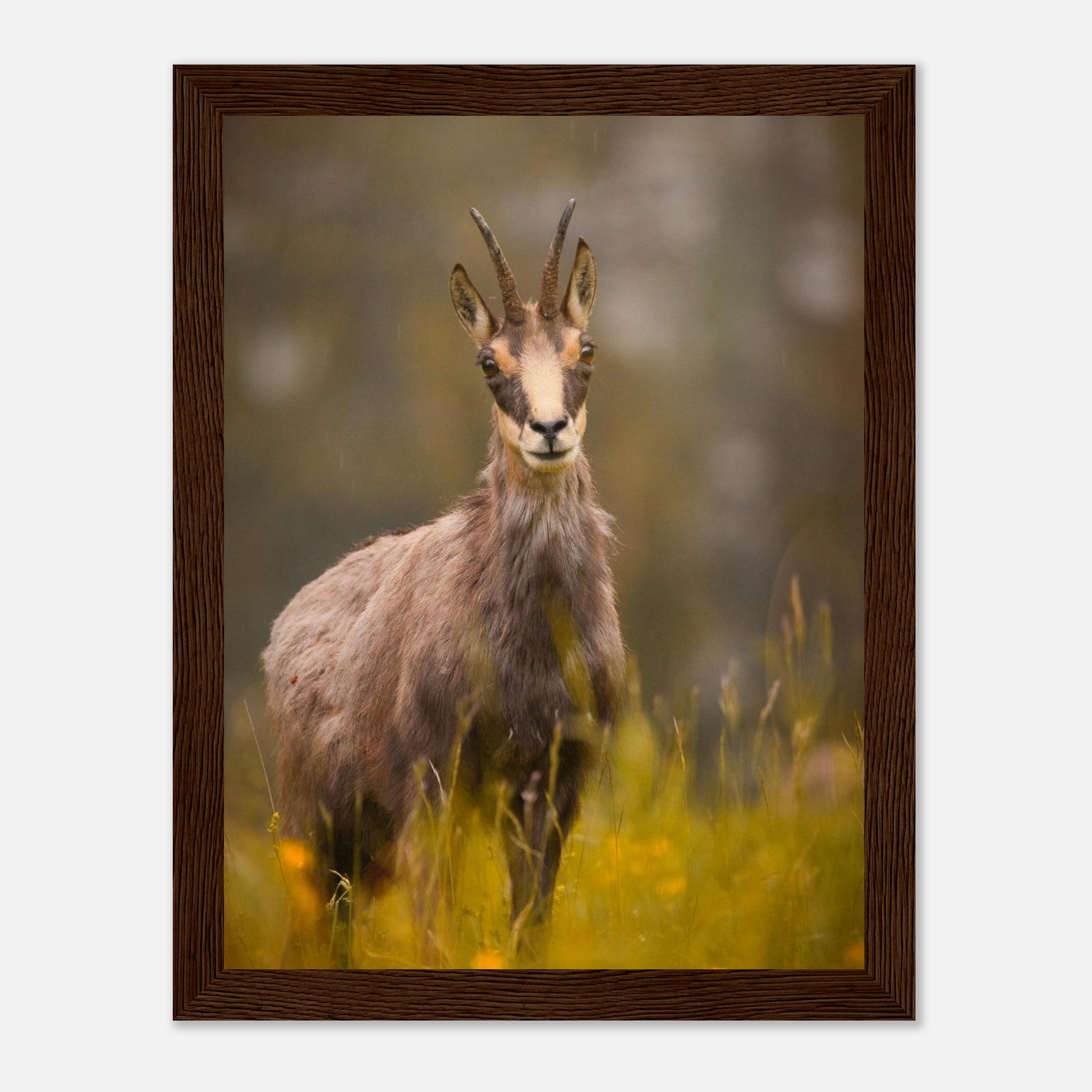 3aab6a1a-2fd5-4ff0-8cca-08f660701977