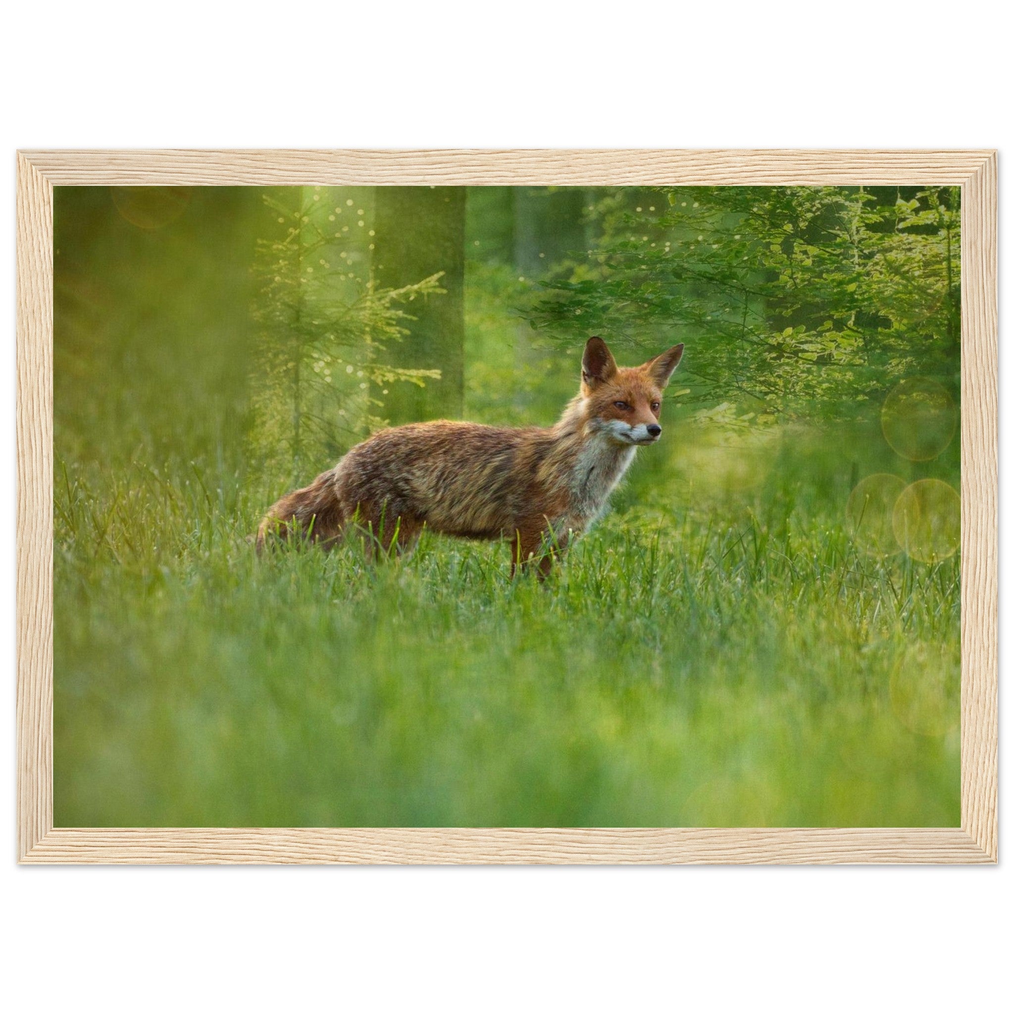 3af1b1fd-a195-442c-997b-7378073f1589