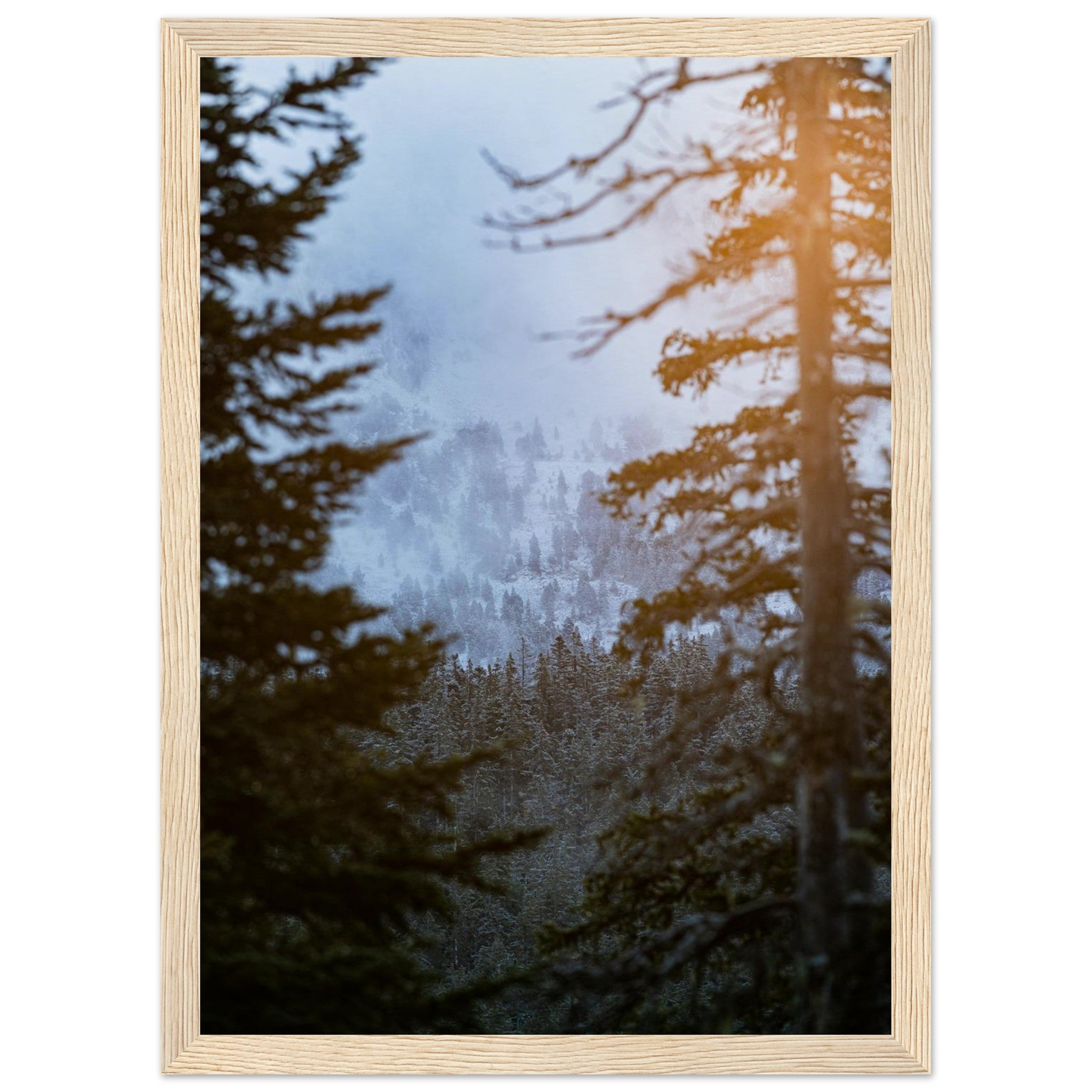 3e7786cf-7a14-41a6-9c0a-ceefd1dc47a9