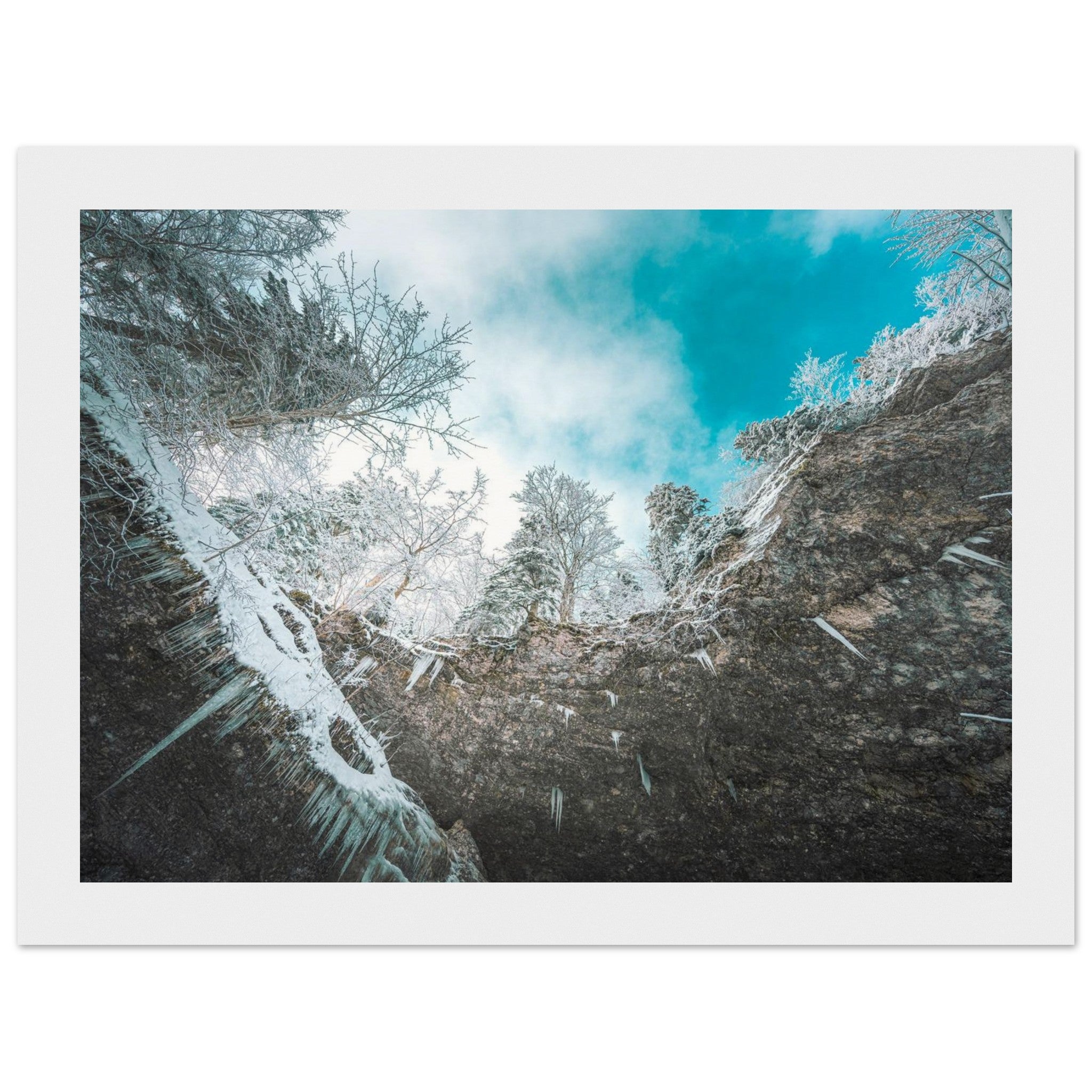 3f2ff9c2-2512-4288-909a-6bf6e88e8d22