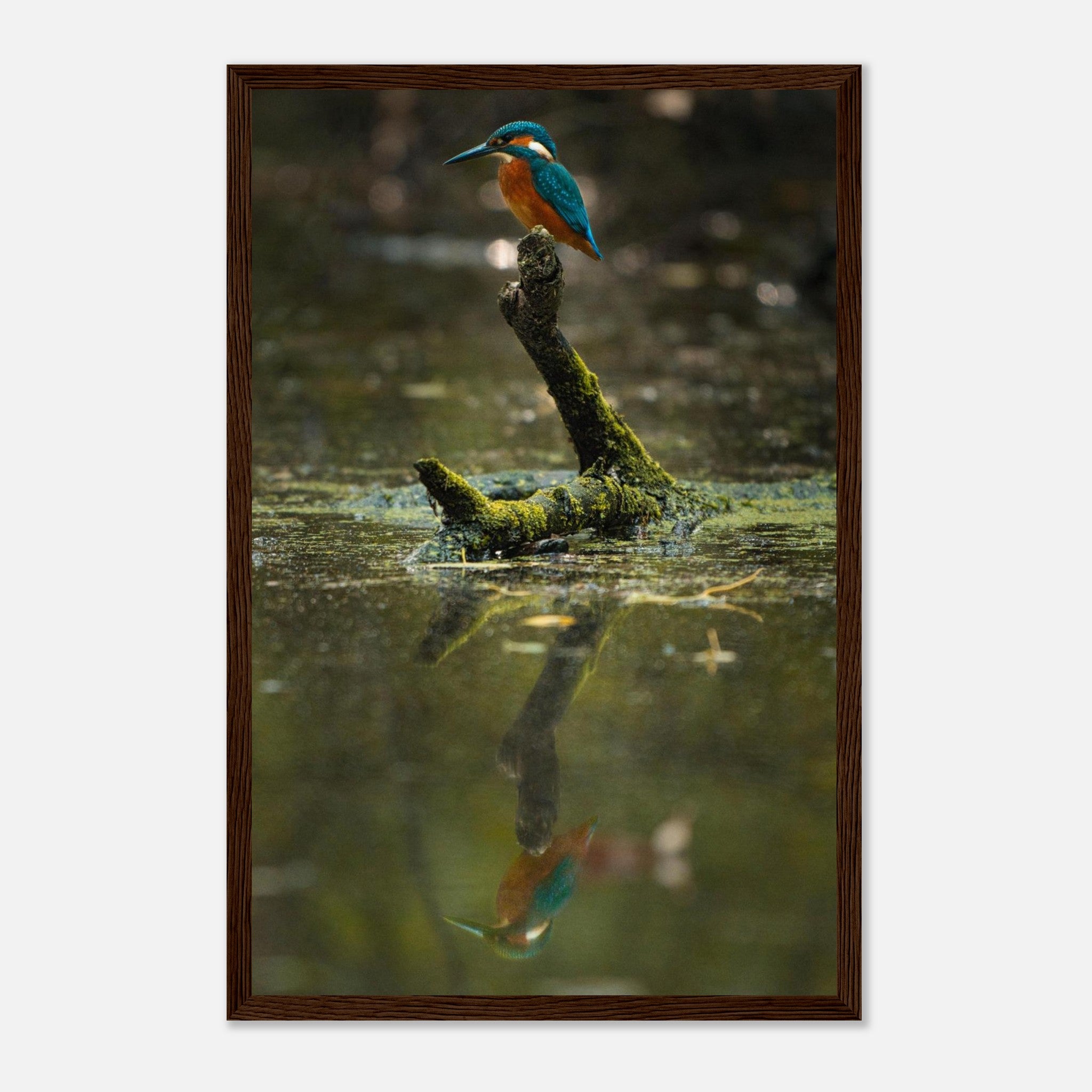 3ff22fc9-77d1-4d1f-af5c-1b0be60e1217