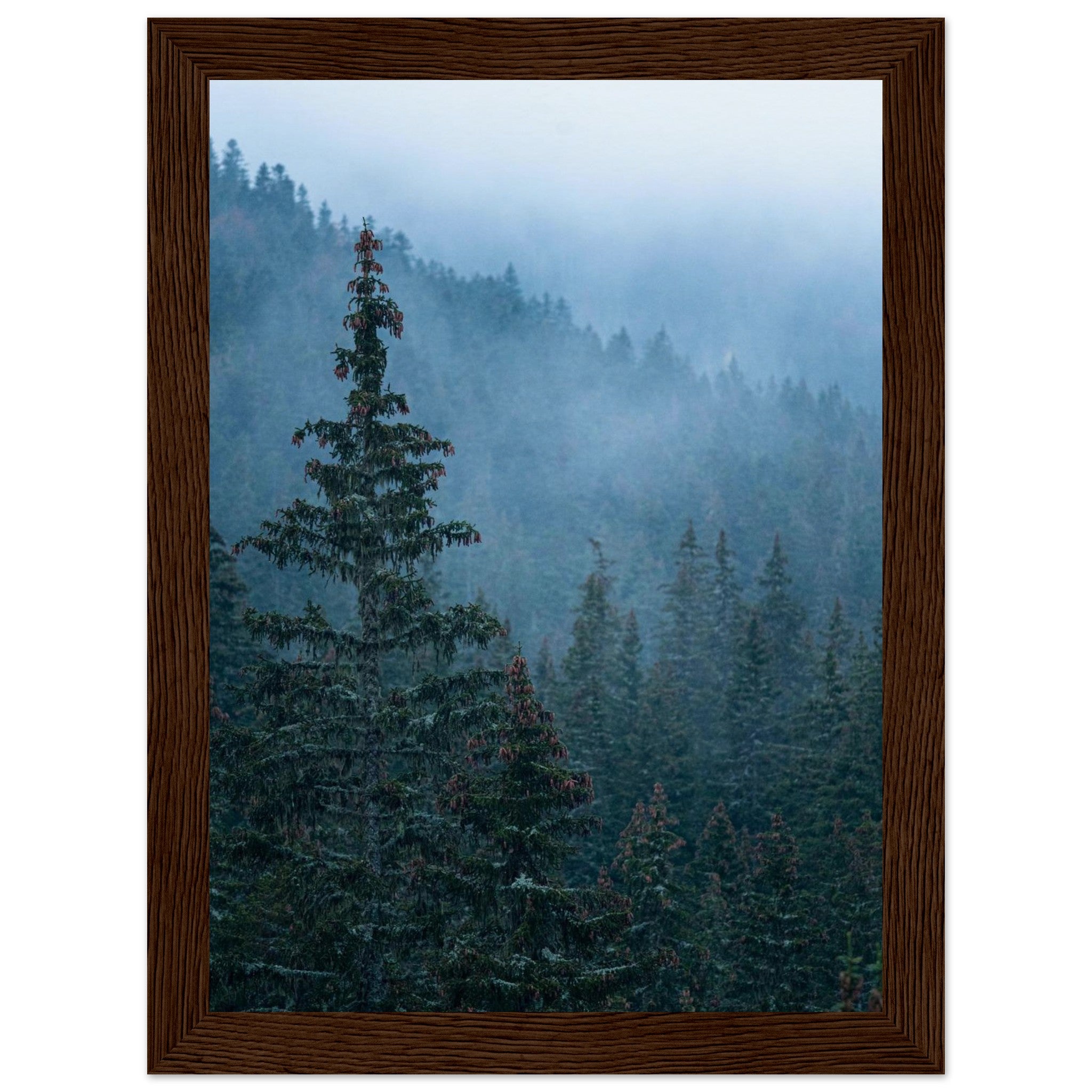 40dff0ee-b36b-4a67-8f73-e08172346ccd