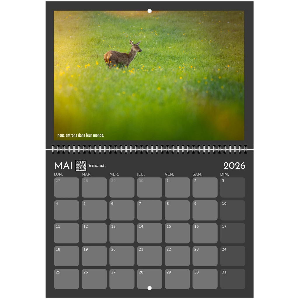 41bf6c7c-0cab-47f7-be31-1c569dceaace