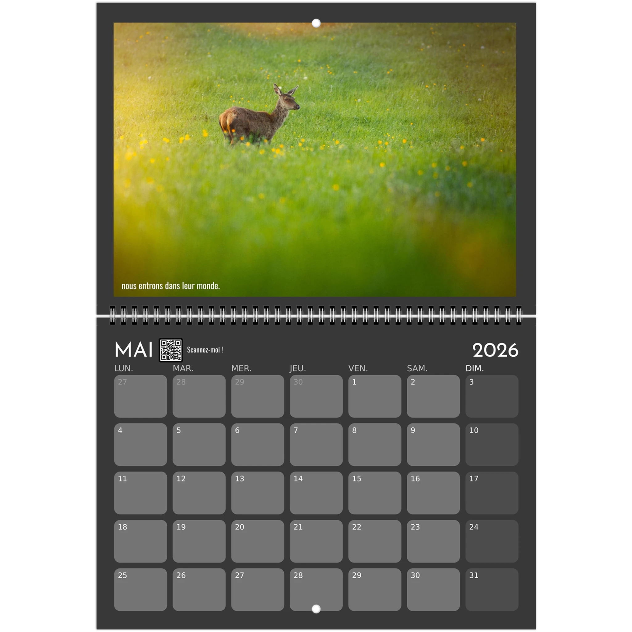 41bf6c7c-0cab-47f7-be31-1c569dceaace