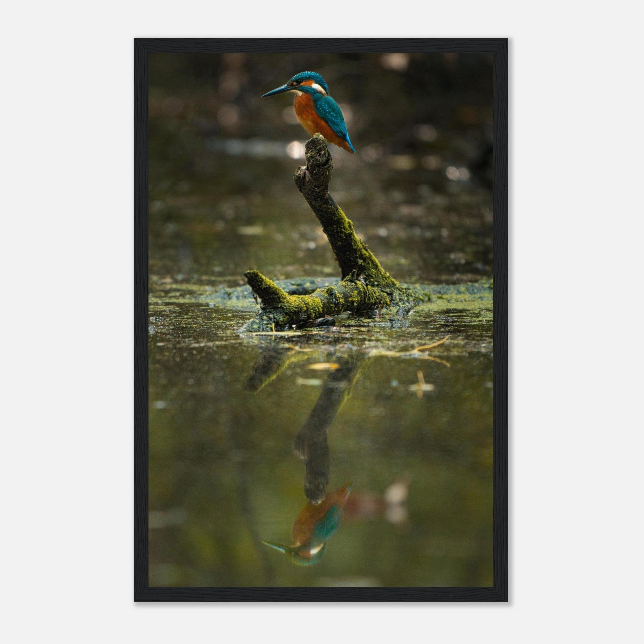 427db2ca-2249-493d-9362-43fe001c2fd0