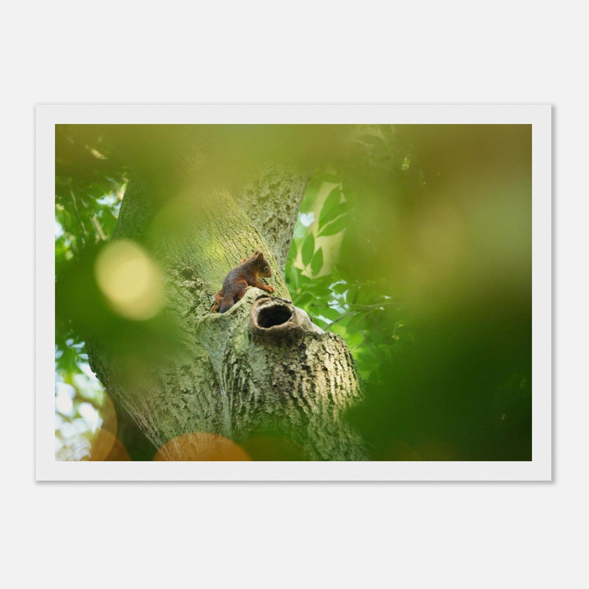 43cfee59-848a-46da-aa29-954b1485ce02