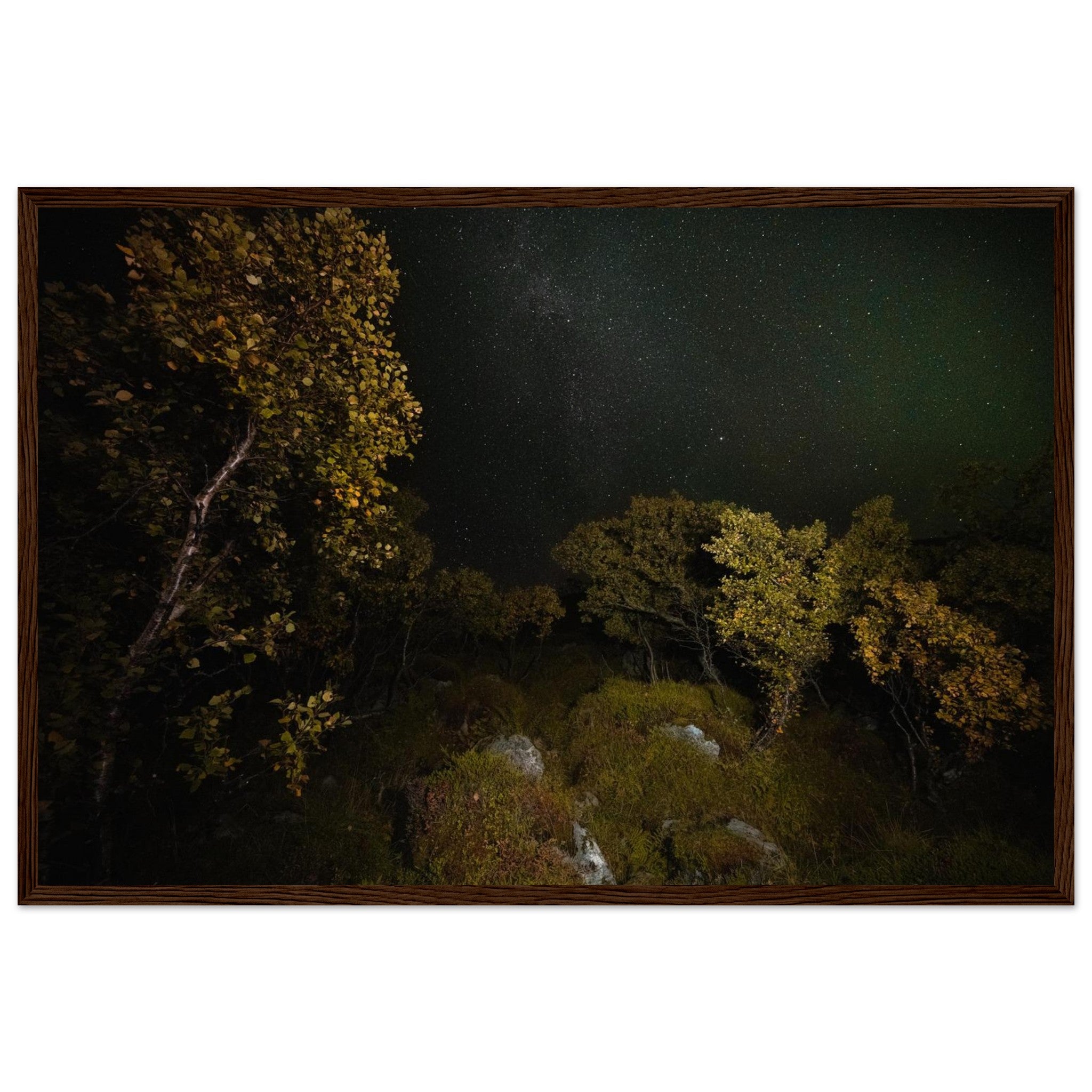 45ca6429-28d9-4957-a7f2-64dedf6c24c7