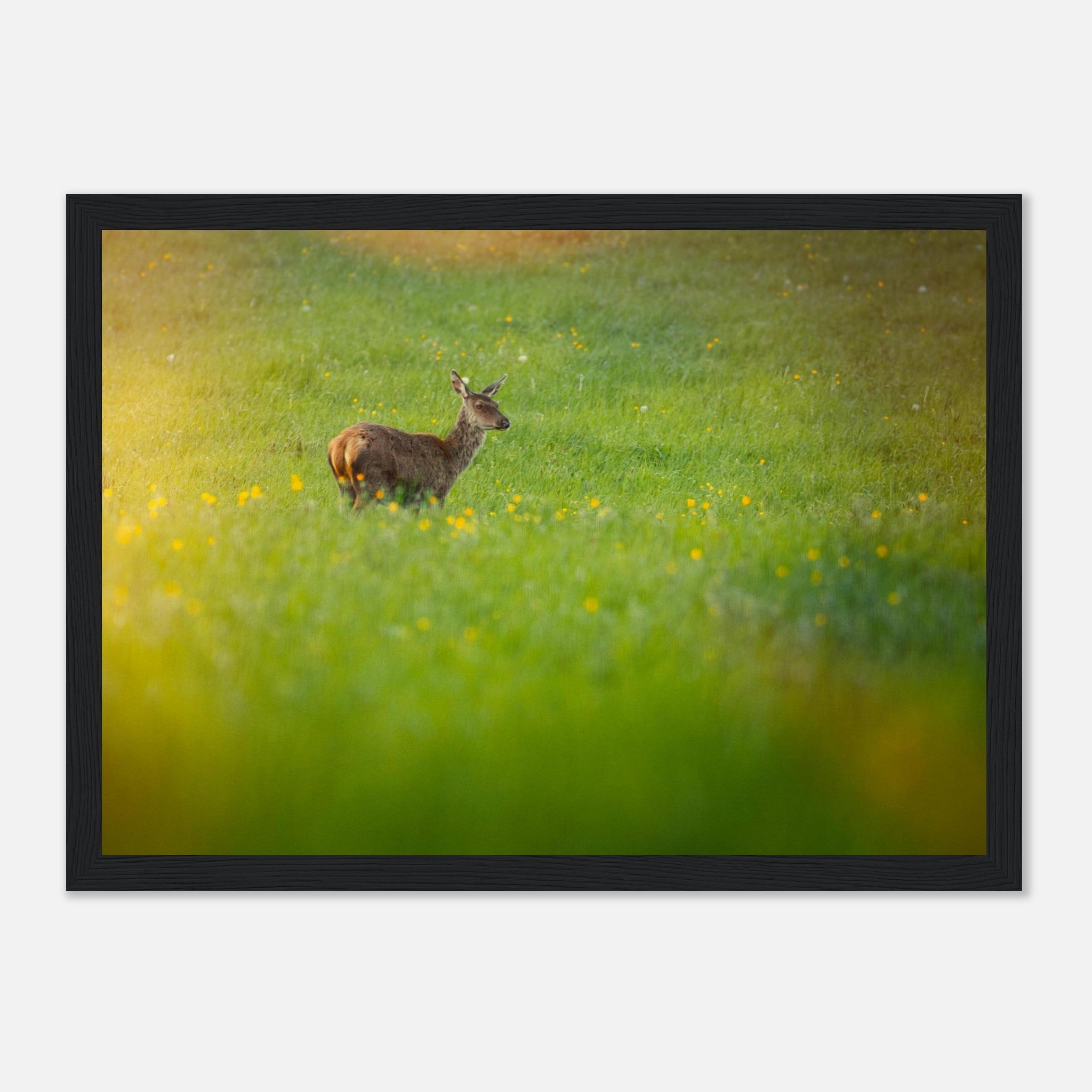 4650b011-ab92-4d73-ac2b-b0b652af974e