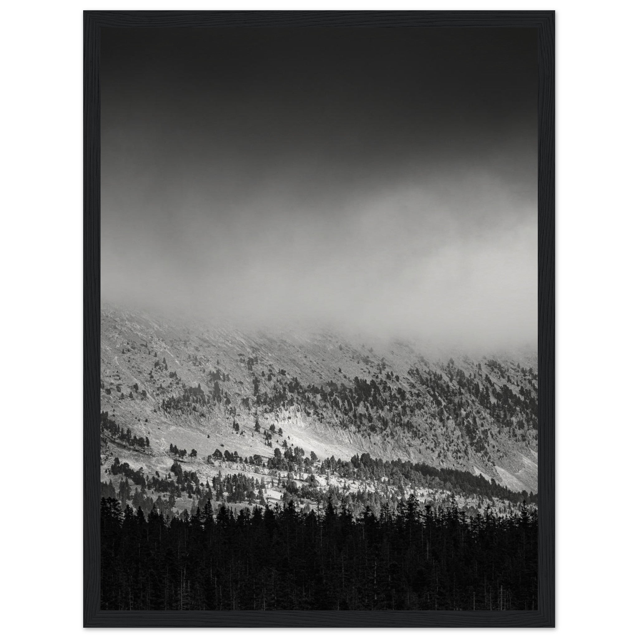 46e24ce9-9a03-4c67-91e9-16f3e6c702bf