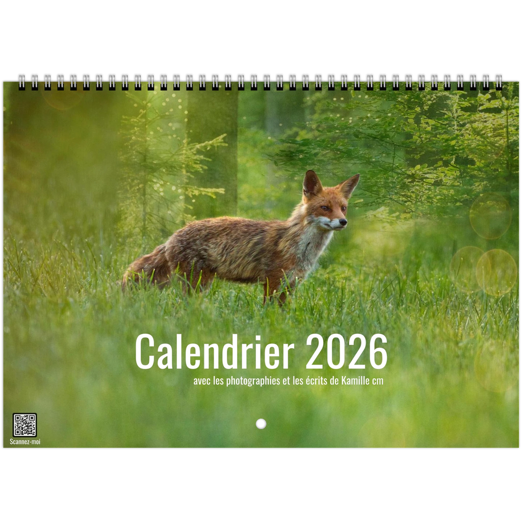 48f78c2d-92d6-4098-ae85-4280b17c259e