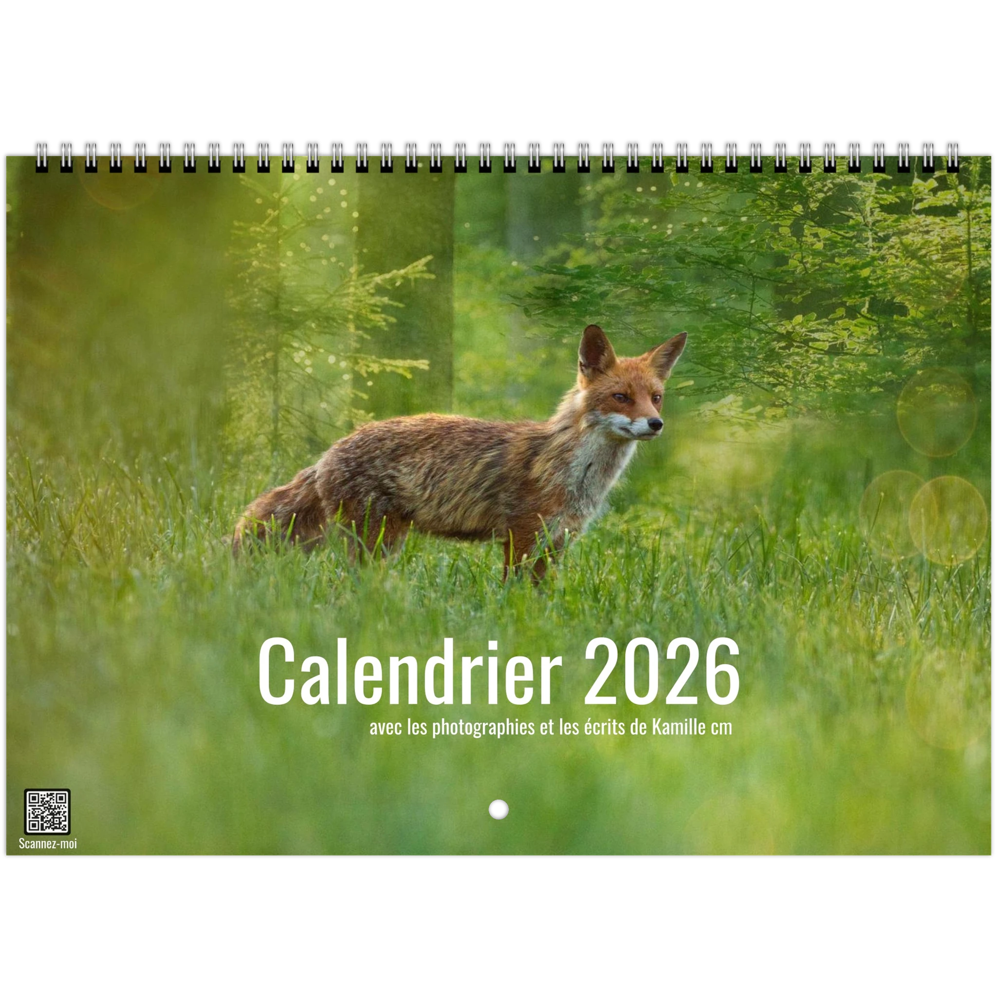 48f78c2d-92d6-4098-ae85-4280b17c259e