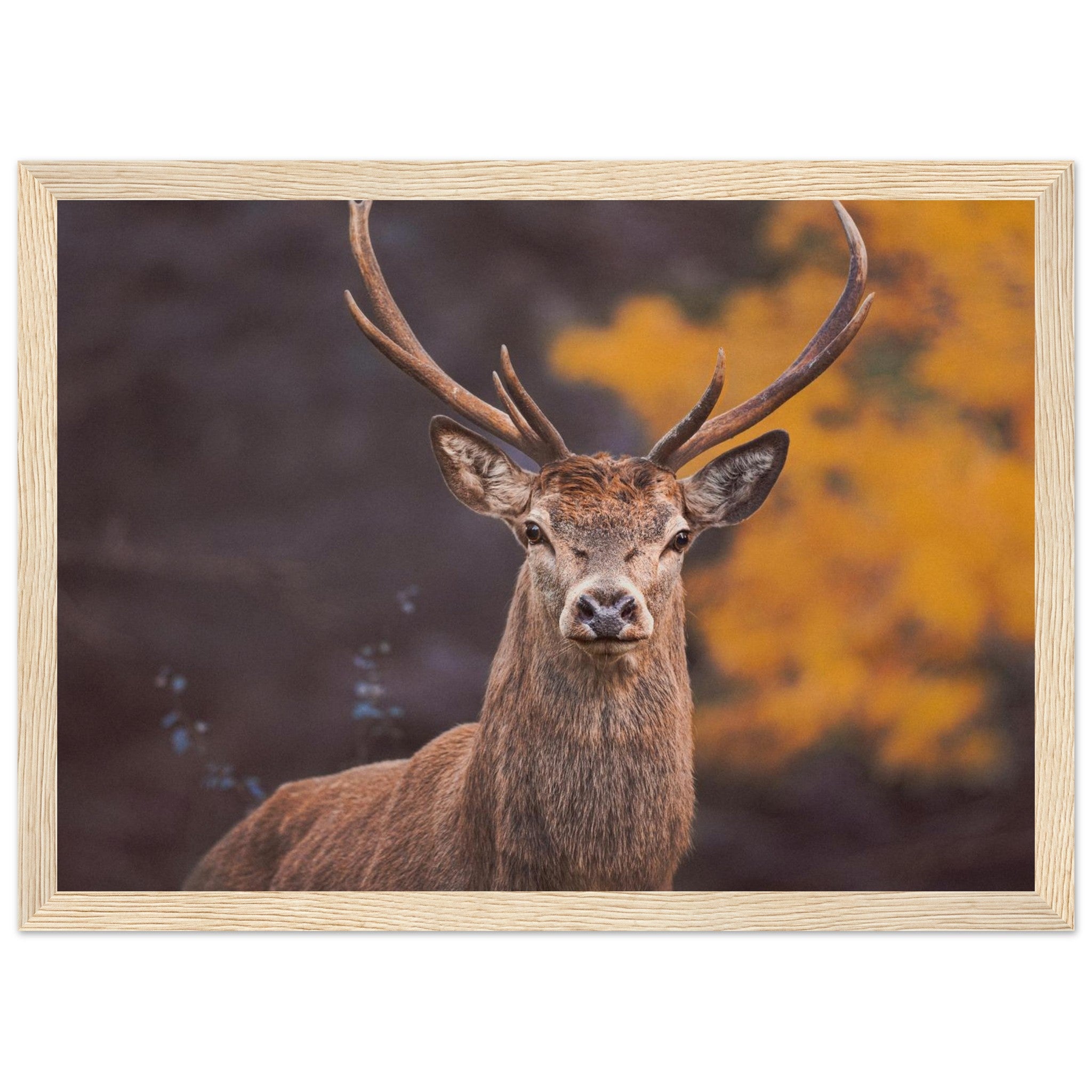 492df19f-0d73-43eb-9447-e6c67fb049c5