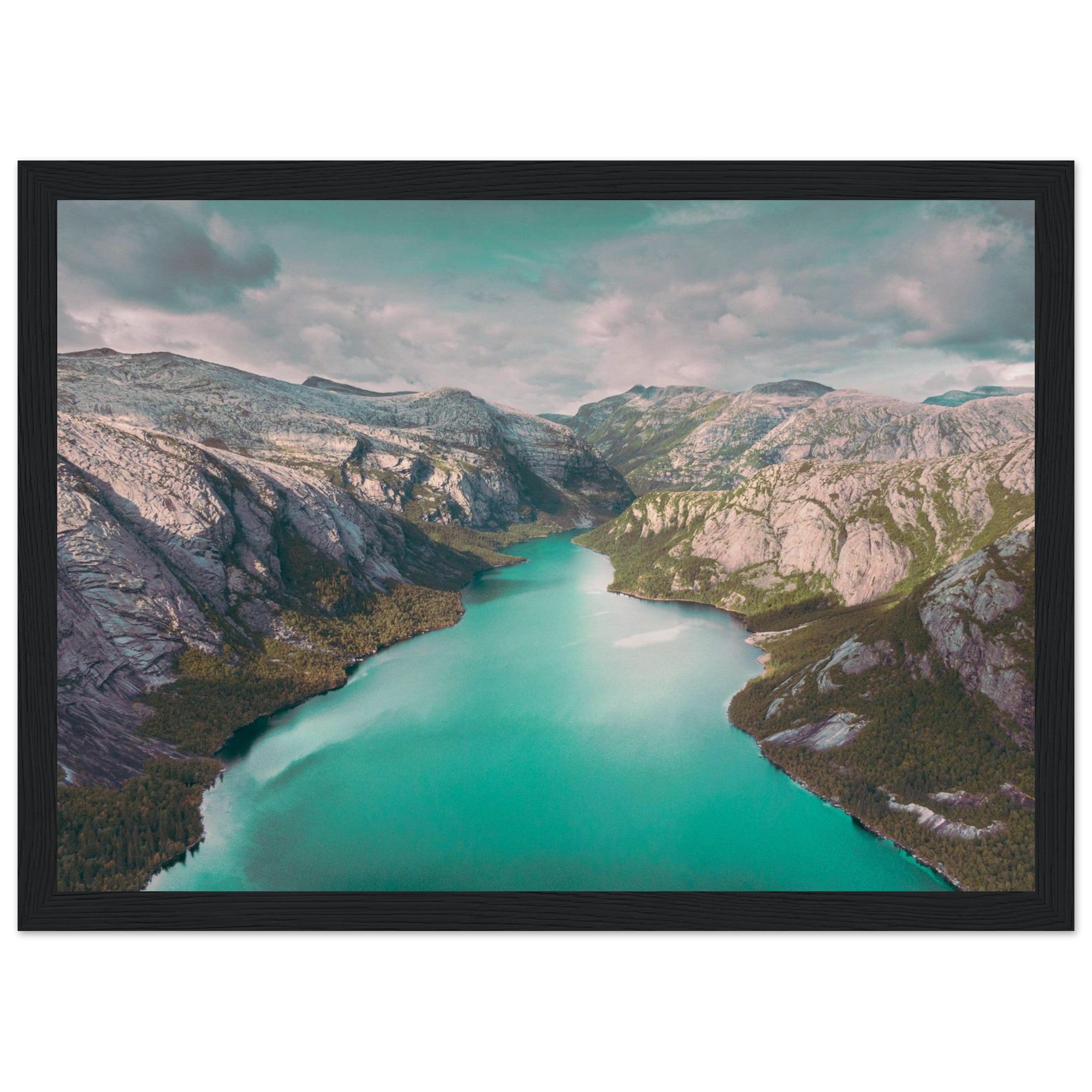 4c00e09c-0a62-45b8-b81b-2b1126193898