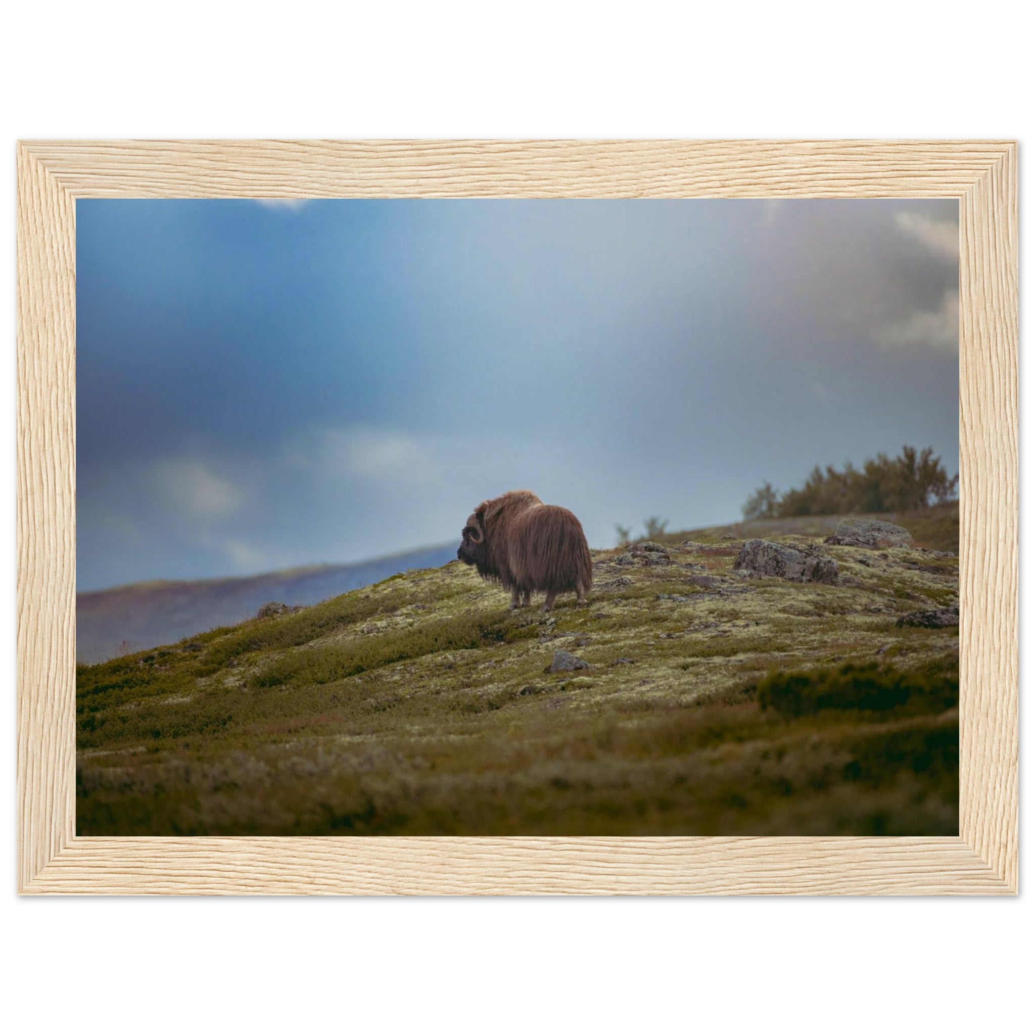 4c1db261-6ed0-4303-808b-33da686bce7c