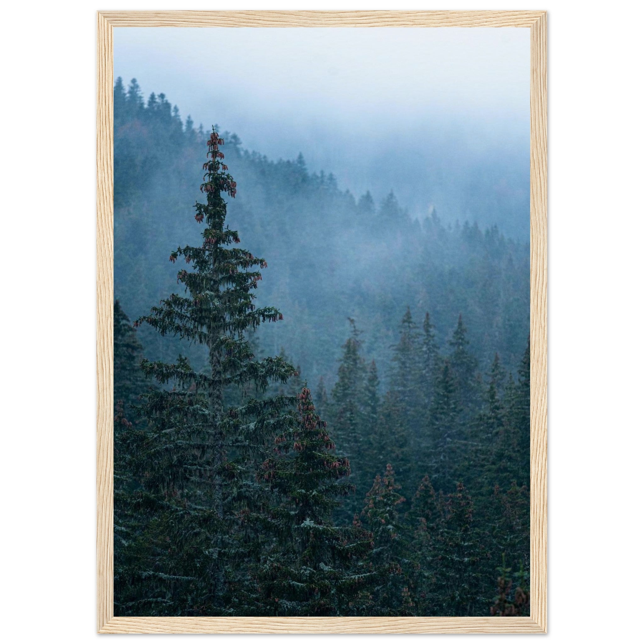 4c6b4aa3-91cb-441c-bf44-6bd8c8adb954