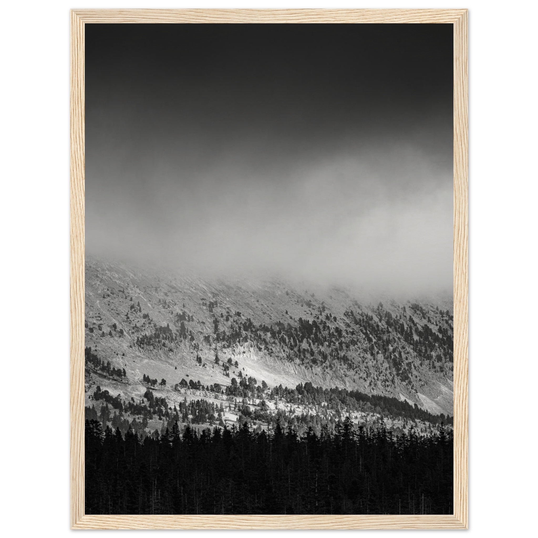 4e48ffb4-4ffc-4398-b154-16881a623456