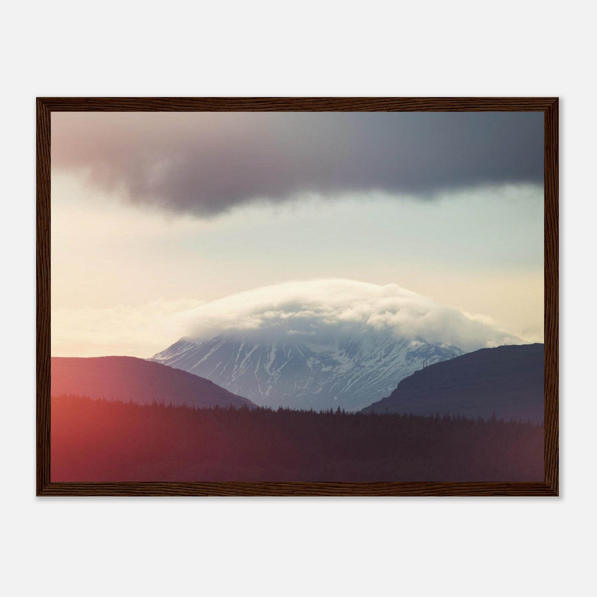 4e7689ea-2480-43d6-8307-b37066f637fc