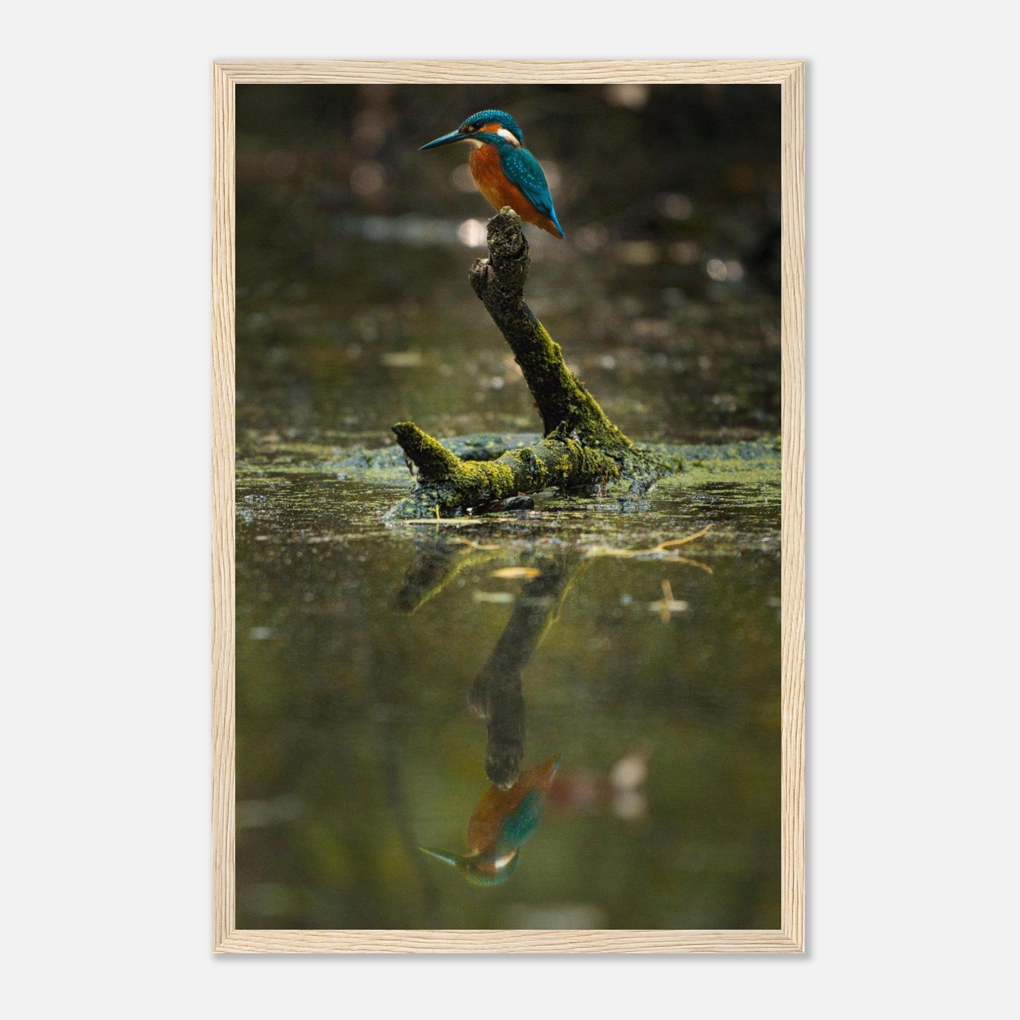 517dfcb1-7872-4970-837d-77ed0849cf11