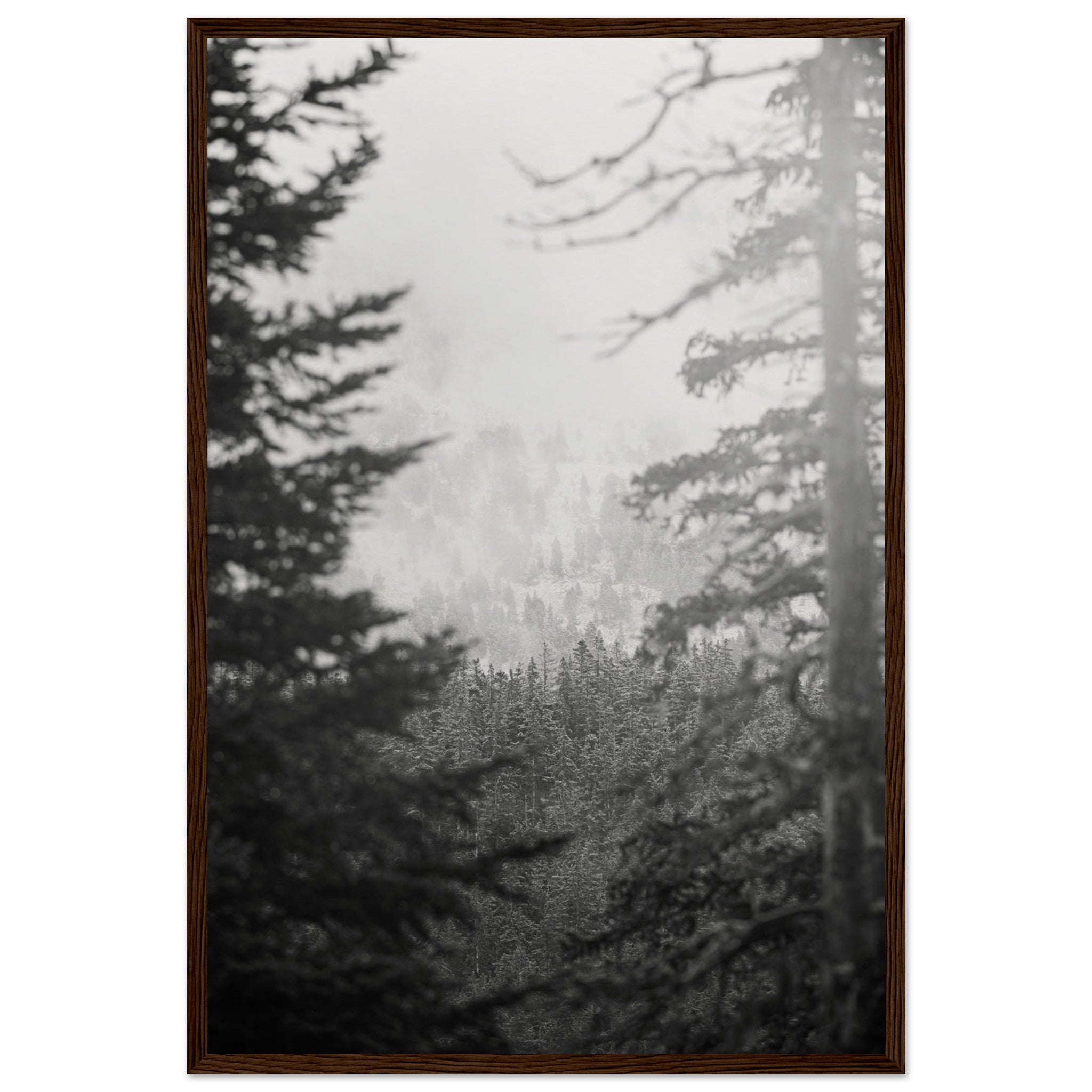 51a5d7f8-dcfb-471a-b151-db338f70f51e