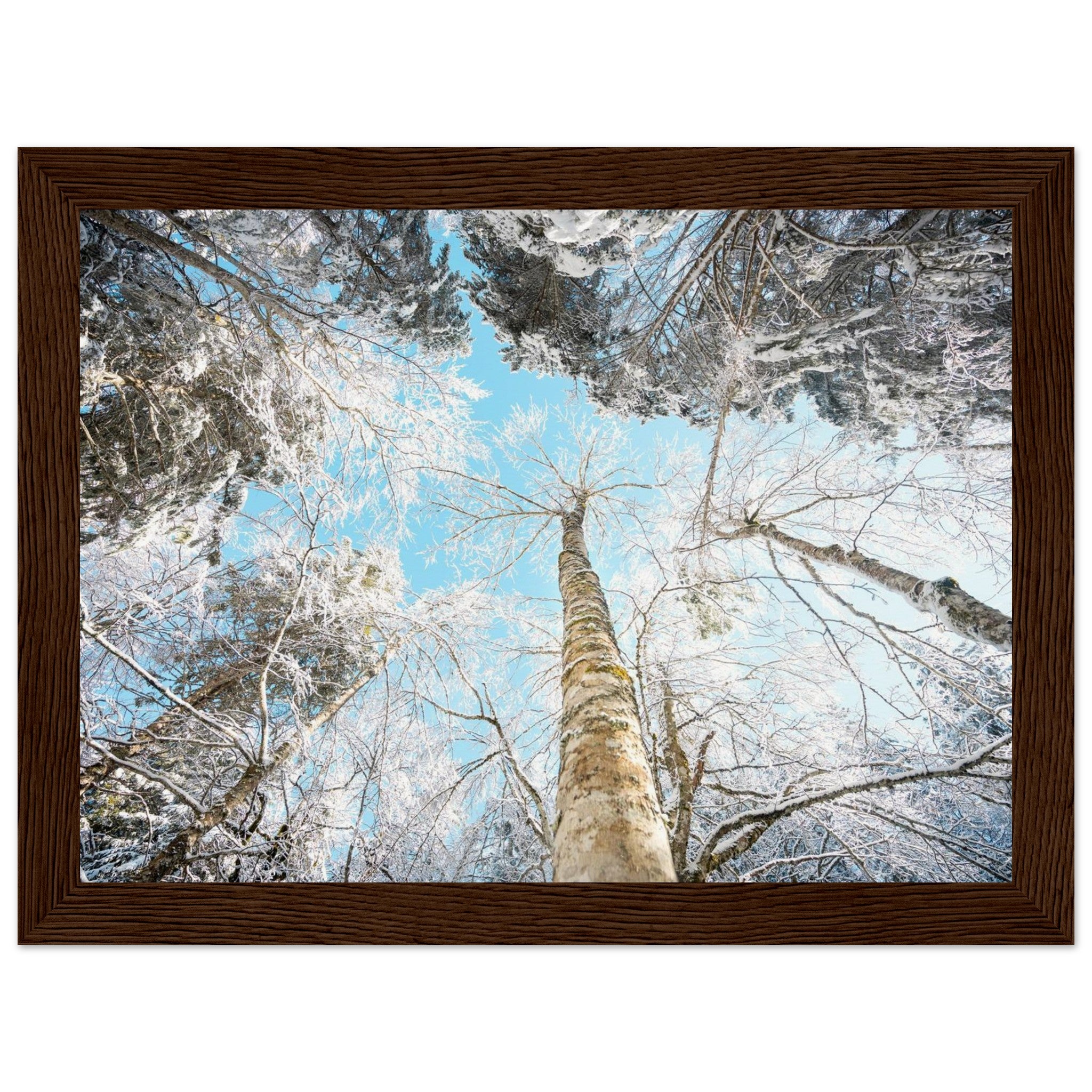 53d05425-dff8-41f2-b25f-f0de7dea1165