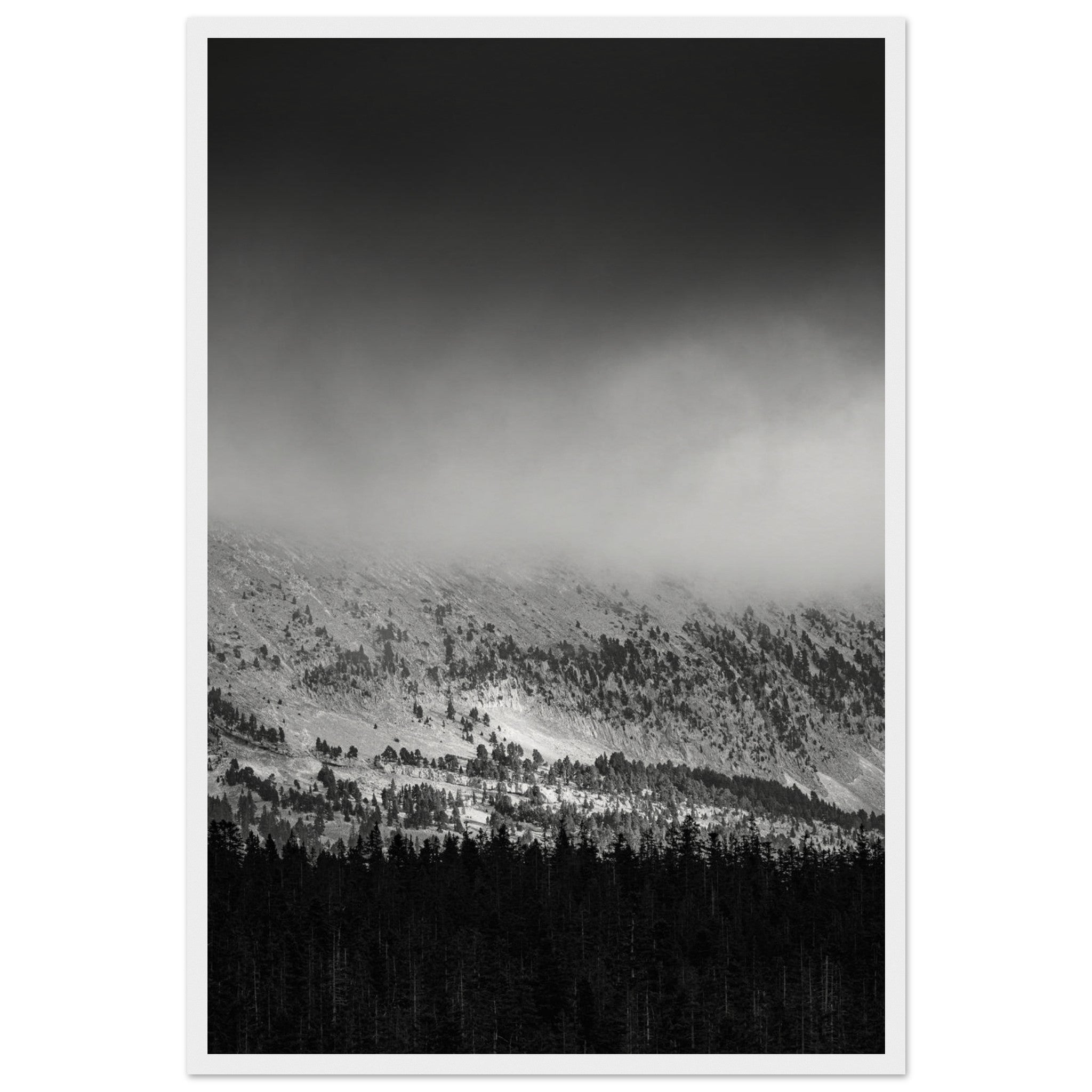 540d0af7-3fbb-43d4-a6df-b49eda9e213b