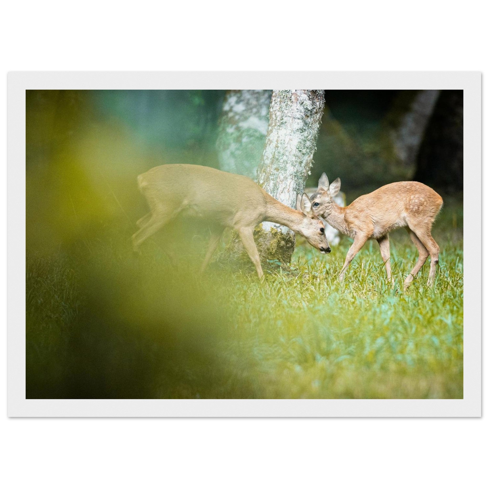 55f22ba4-ba05-4160-8b9c-6b24de1aa676