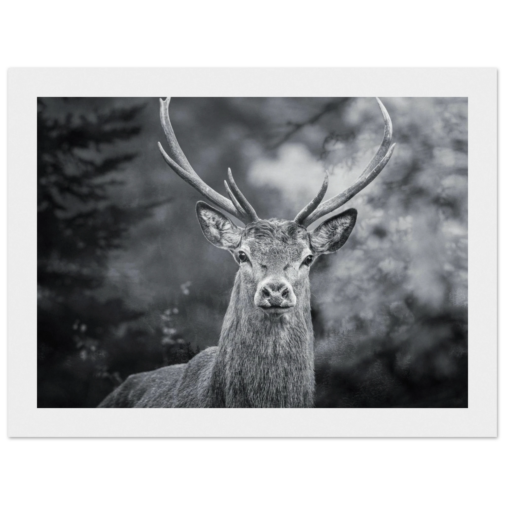 55fd075e-9c87-4c97-8f3c-214d72bbec2c