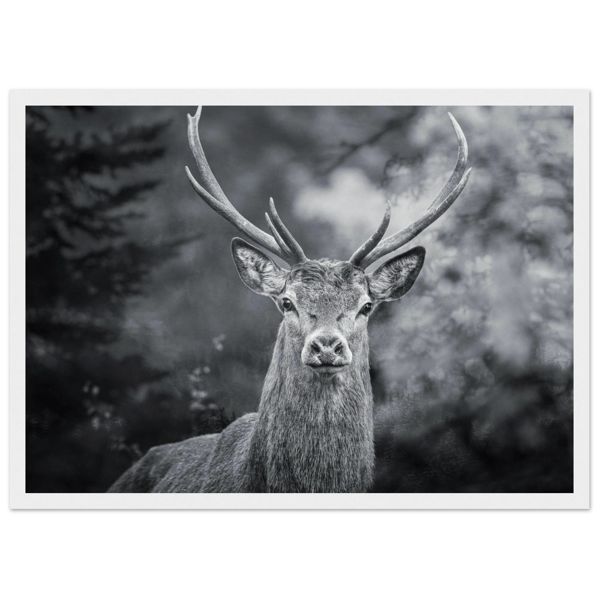 56018f70-5c80-44ed-b0e7-d21ce57a137d