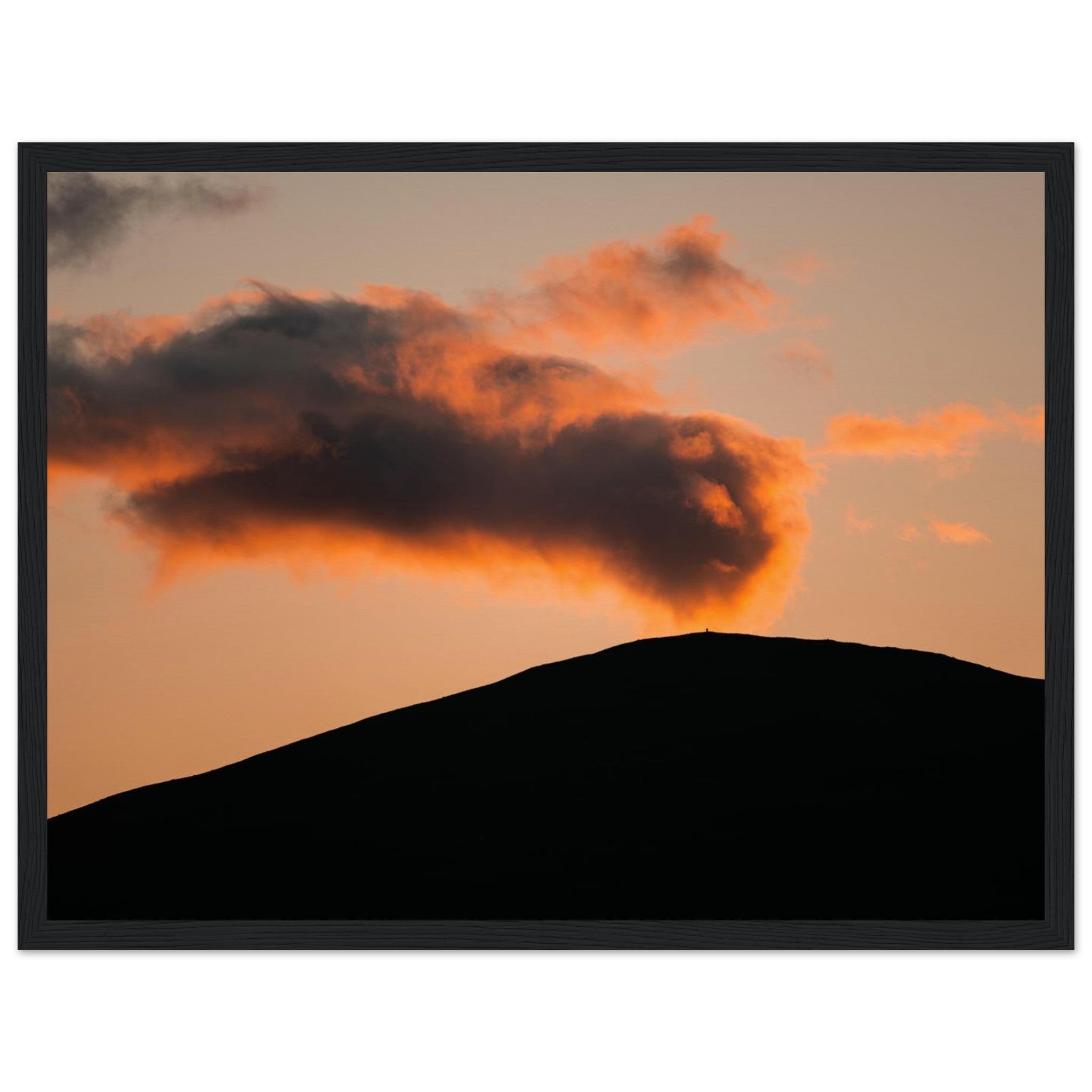 57ce031e-2f08-4361-8800-be14857ddbfd