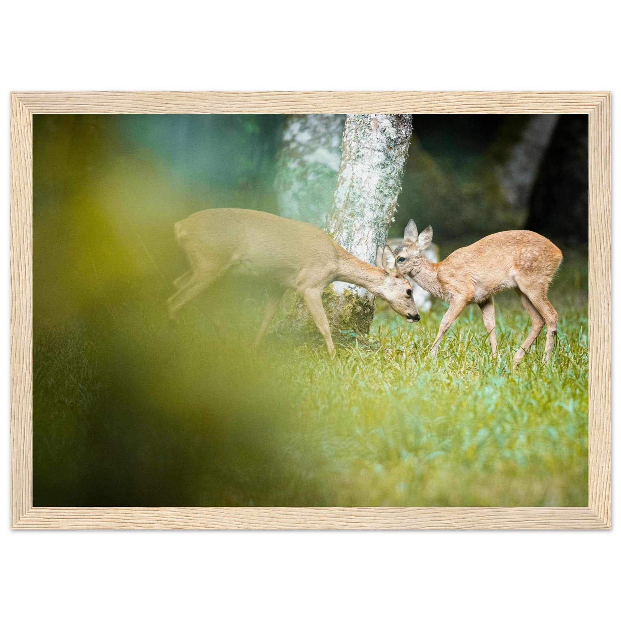 5912106e-47db-43e6-b4bc-dff0a09369a7