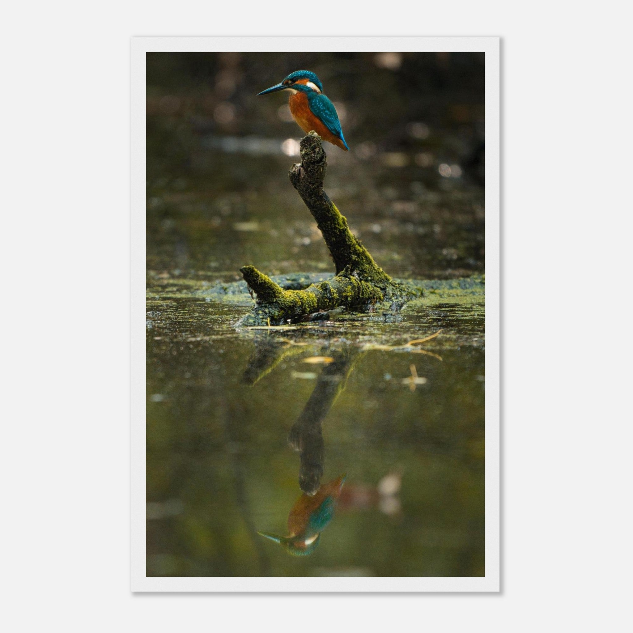 59b762ec-4638-4533-80f2-f79ddc632aad