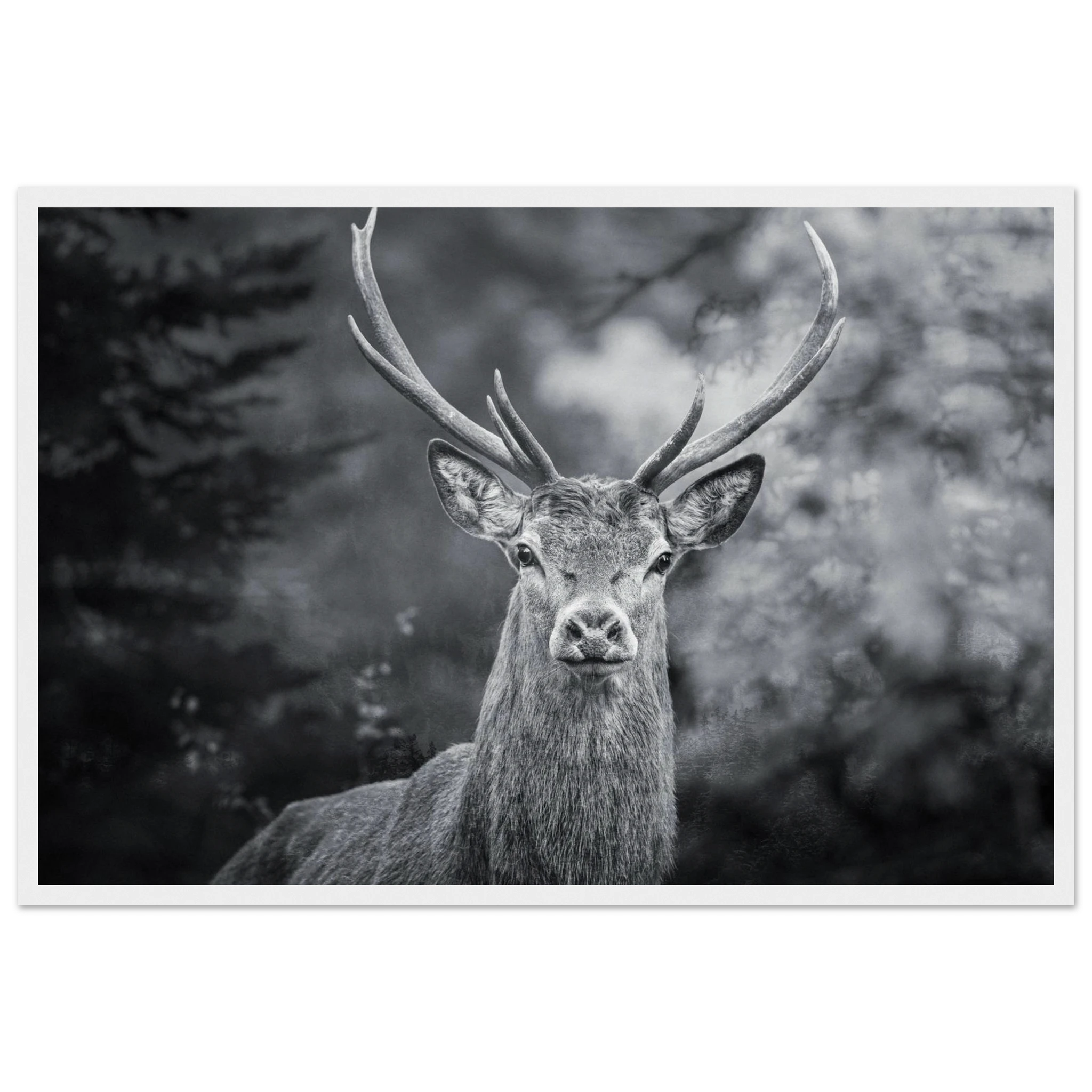 59e23be6-dc36-4346-ba32-d02359eacdd8