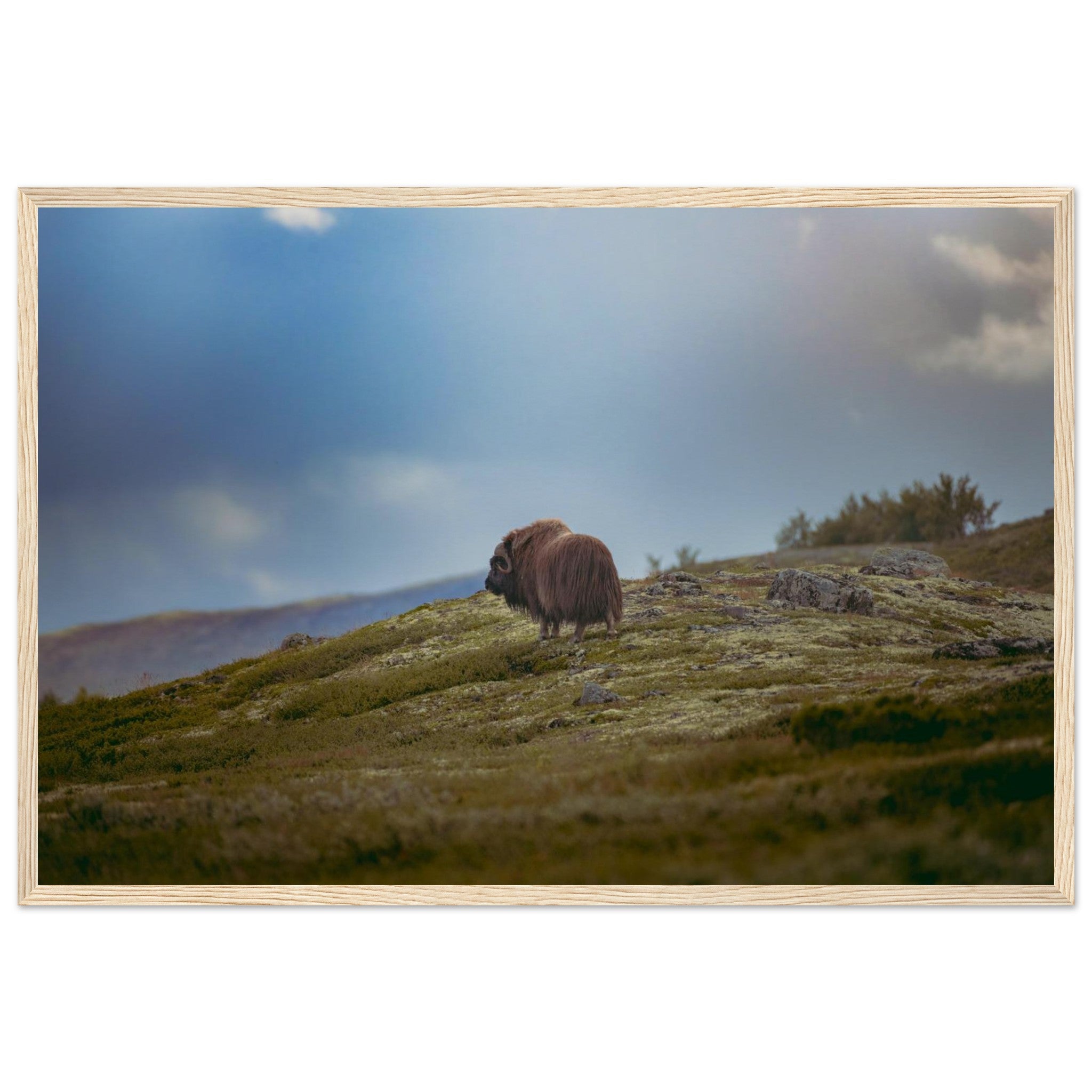 5a103824-9d90-4fde-bda3-8806d86ddb4f