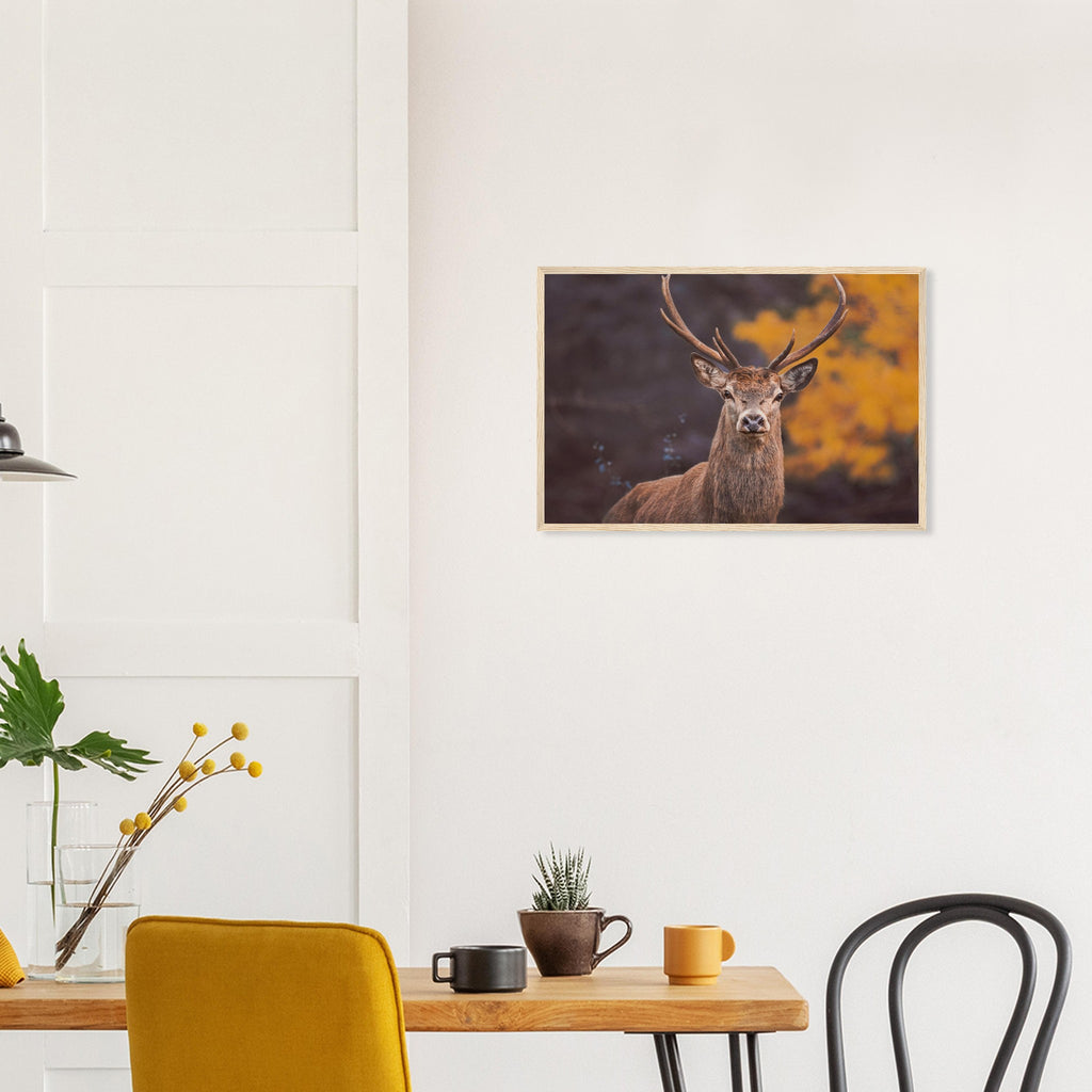 5a21f5e8-f1d0-4084-a5b7-1d9bf6b30cf1