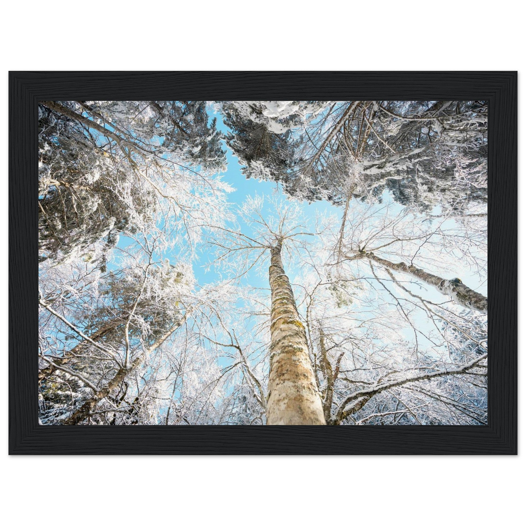 5b913971-aebb-4dda-bf1d-60a25a431161