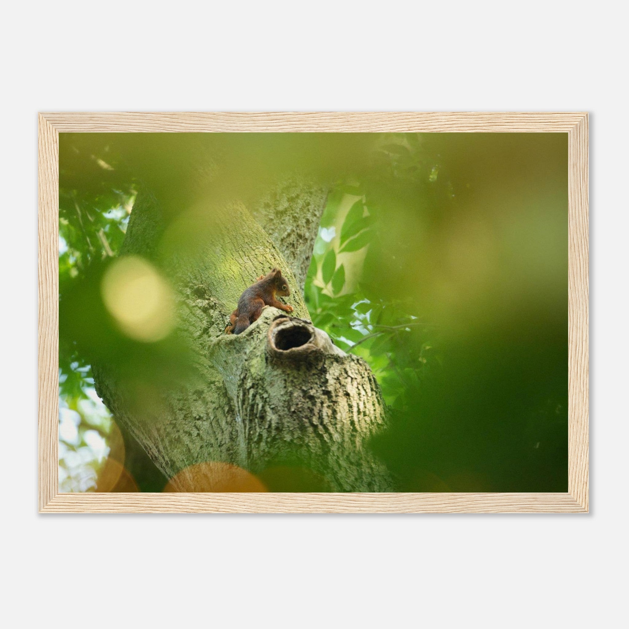 5c1cc41e-037f-4da2-bc62-849bb6c5fcae