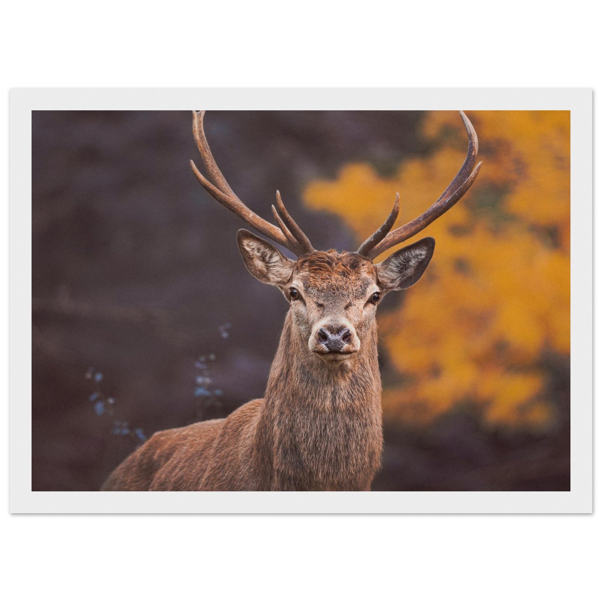 5d6a96ad-2eb3-4a80-9e42-a7e0040bc2d7