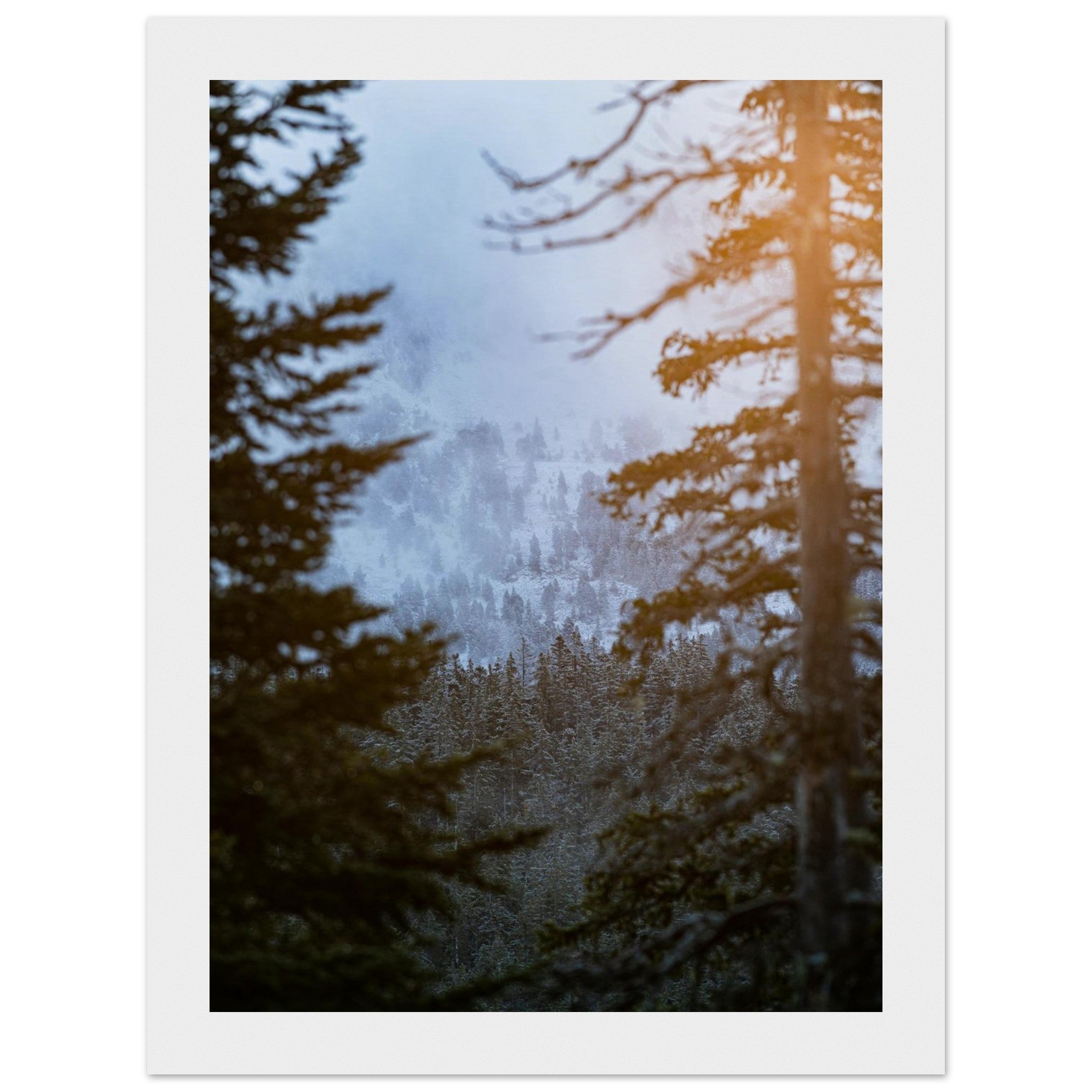 60142d58-3762-4abd-a252-187e13024c5c