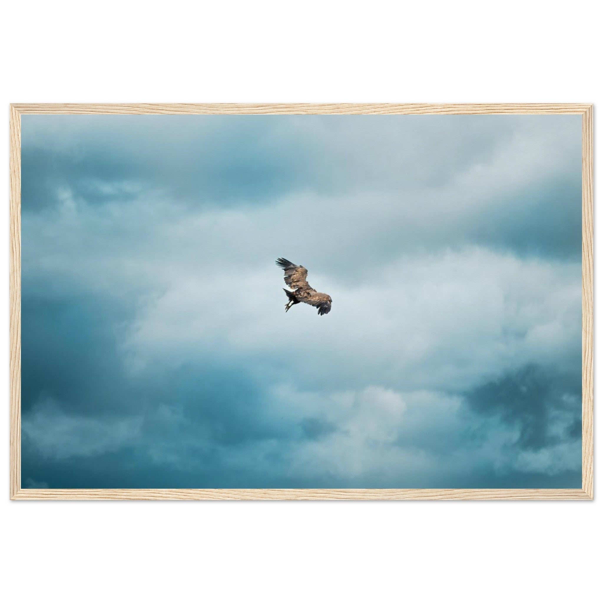 64a2d145-44e7-425a-b107-1cf977850ef0