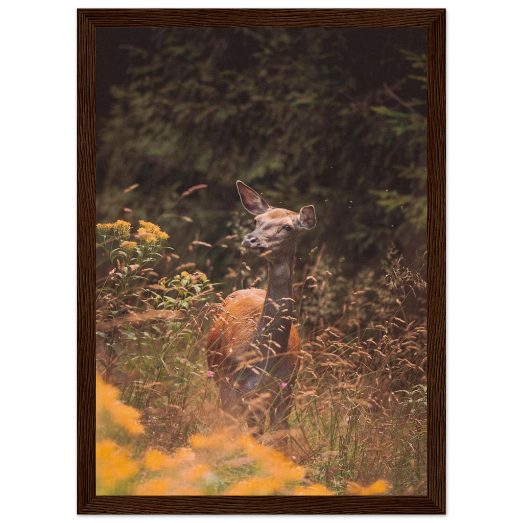 64b9b664-f529-4338-9f21-b14daf330106